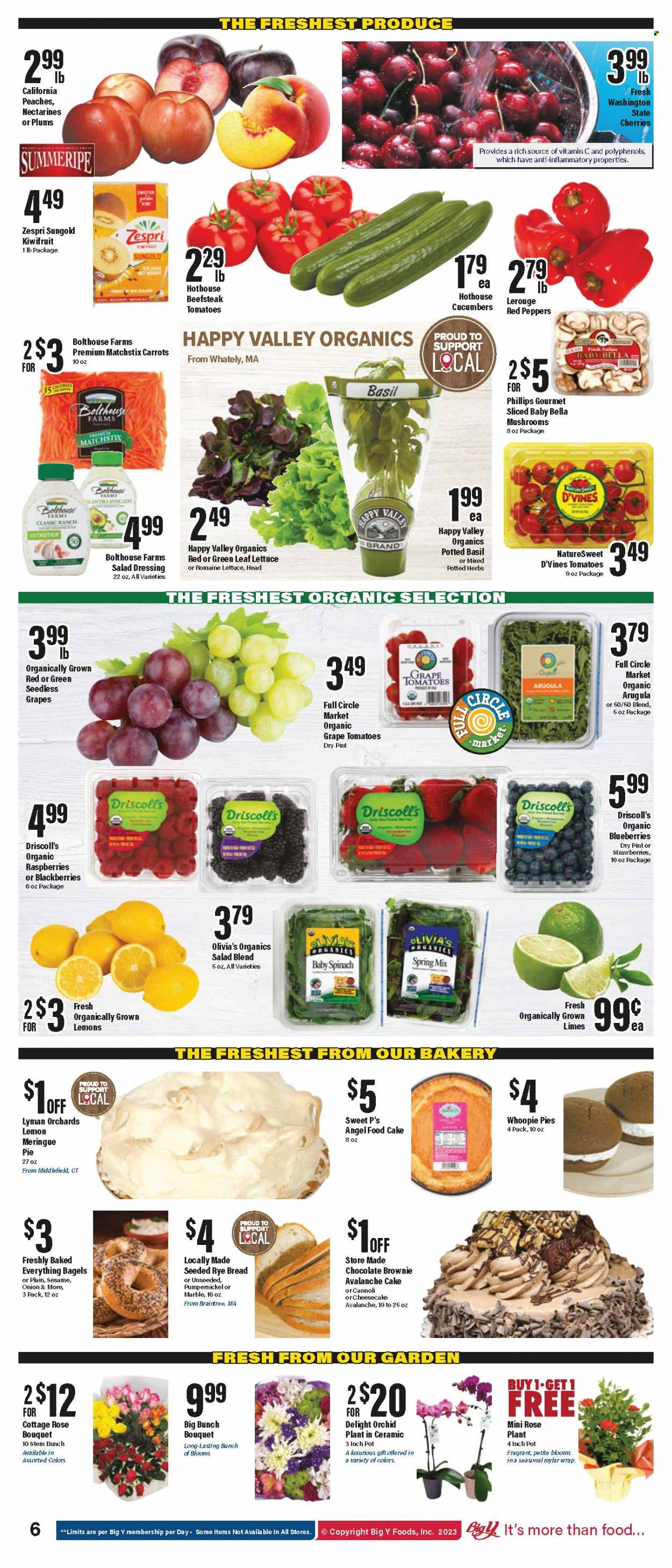 Big Y ad - 07/13/2023 - 07/19/2023. Page 8