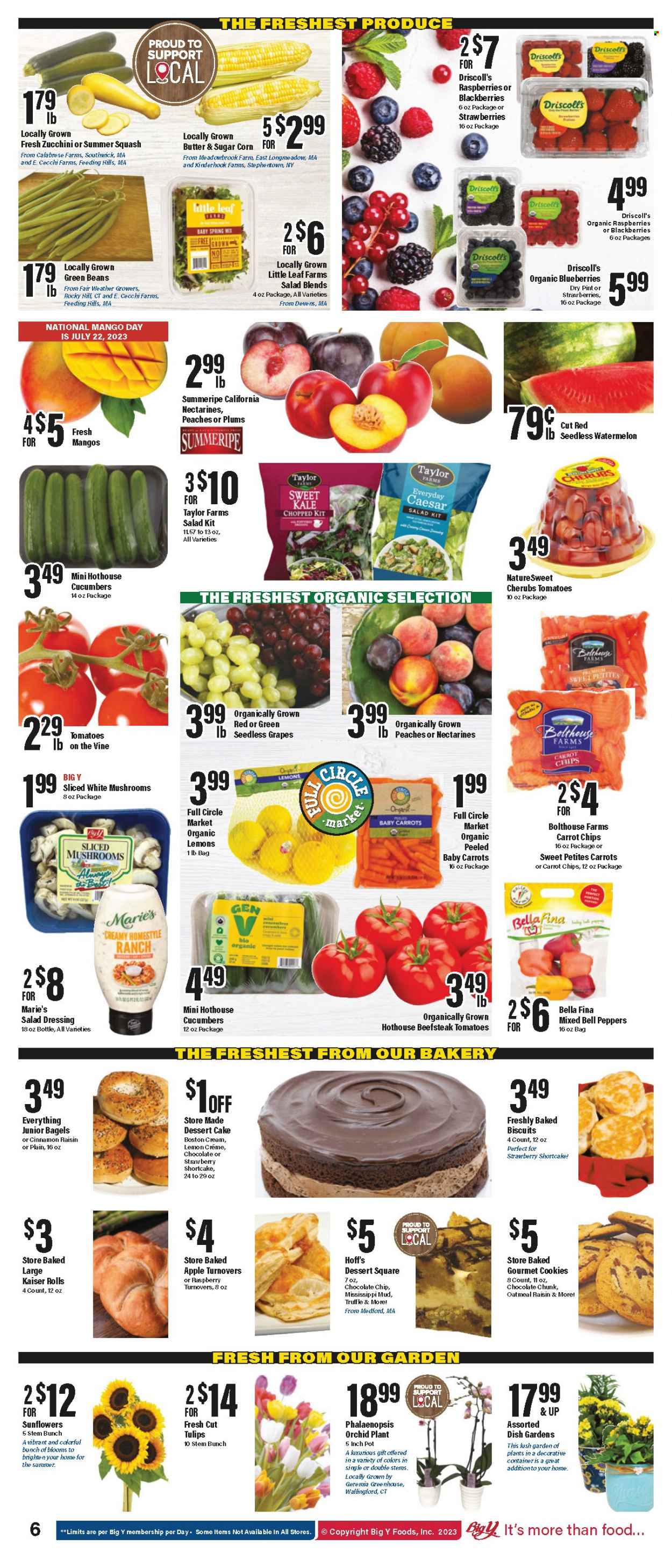 Big Y ad - 07/20/2023 - 07/26/2023. Page 7