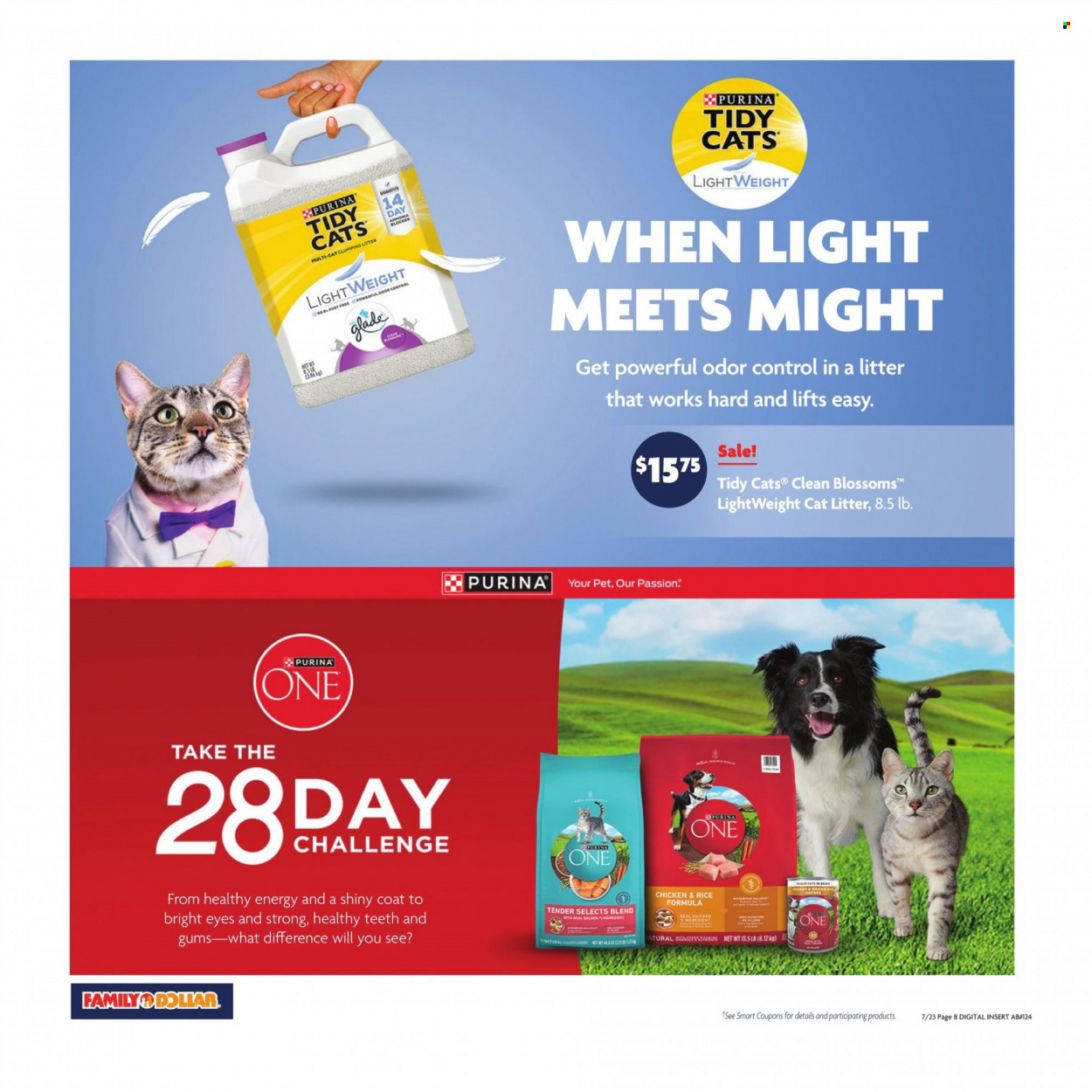 Family Dollar ad - 07/23/2023 - 07/29/2023. Page 9