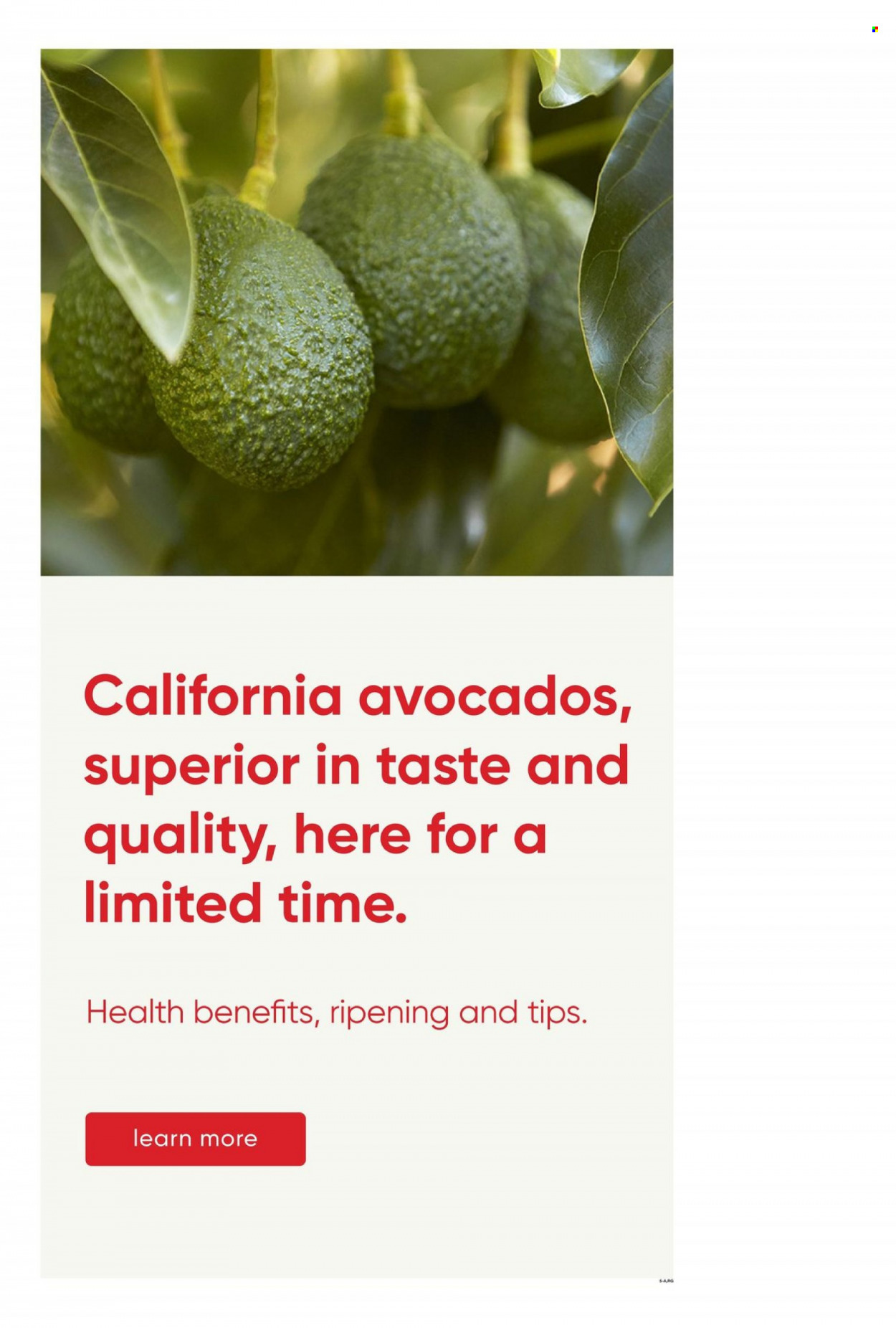 Stater Bros. ad - 07/26/2023 - 08/01/2023. Page 5