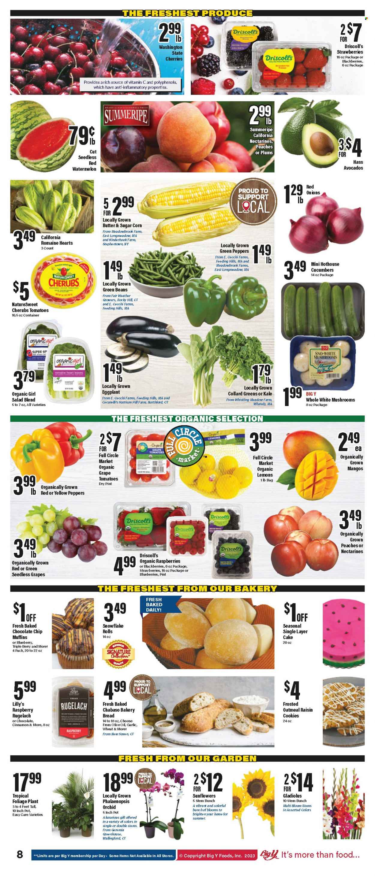 Big Y ad - 08/03/2023 - 08/09/2023. Page 9