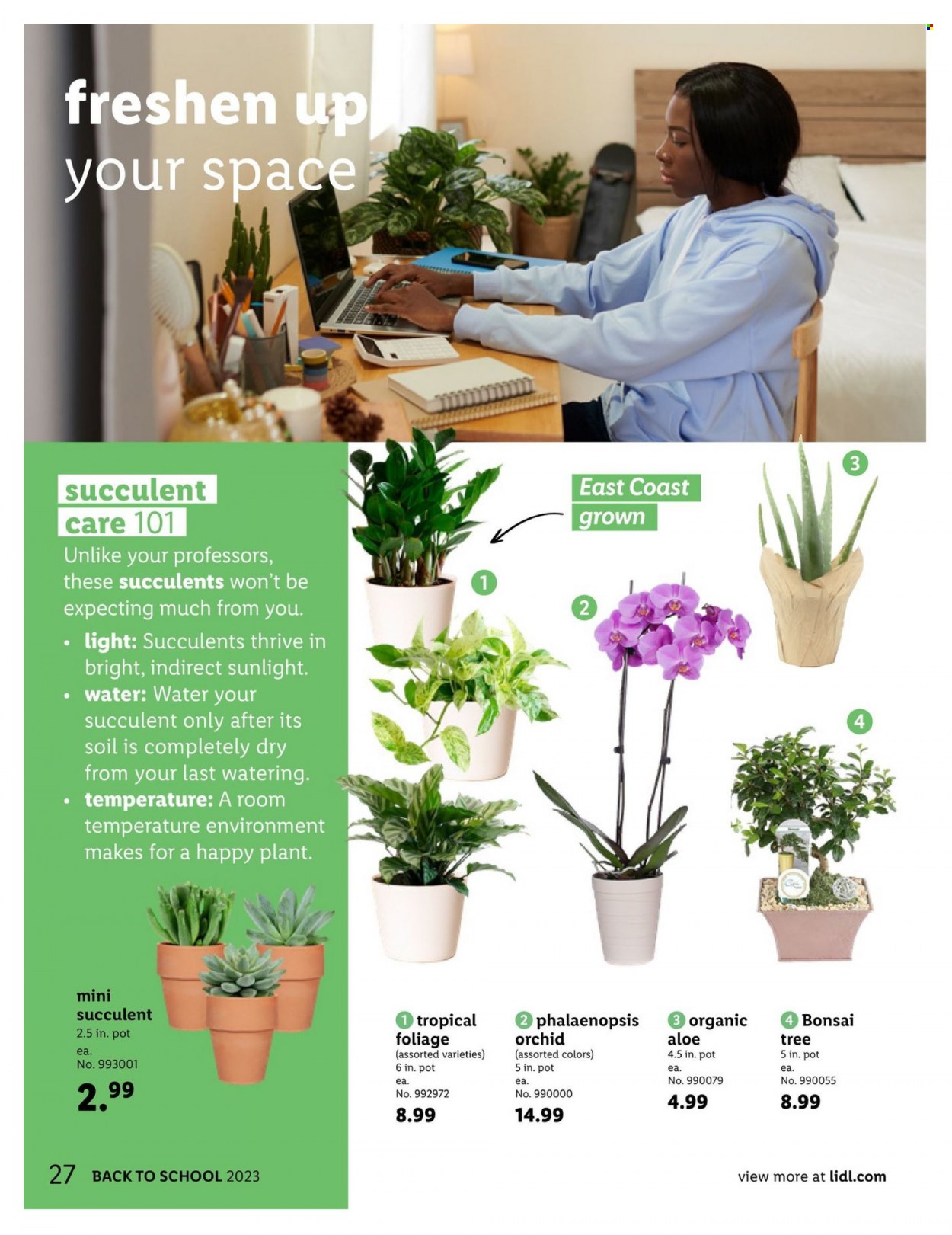 Lidl ad - 07/05/2023 - 08/29/2023. Page 27