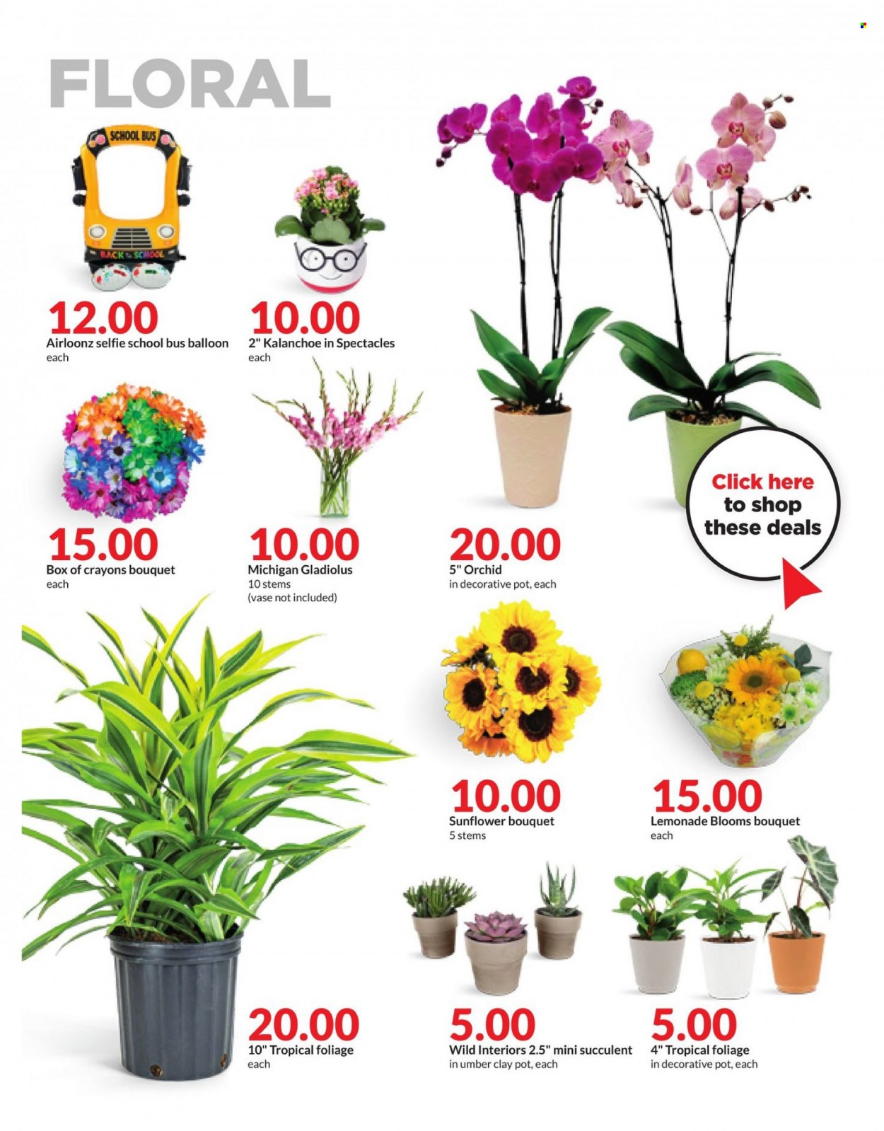 Hy-Vee ad - 08/07/2023 - 08/13/2023. Page 35