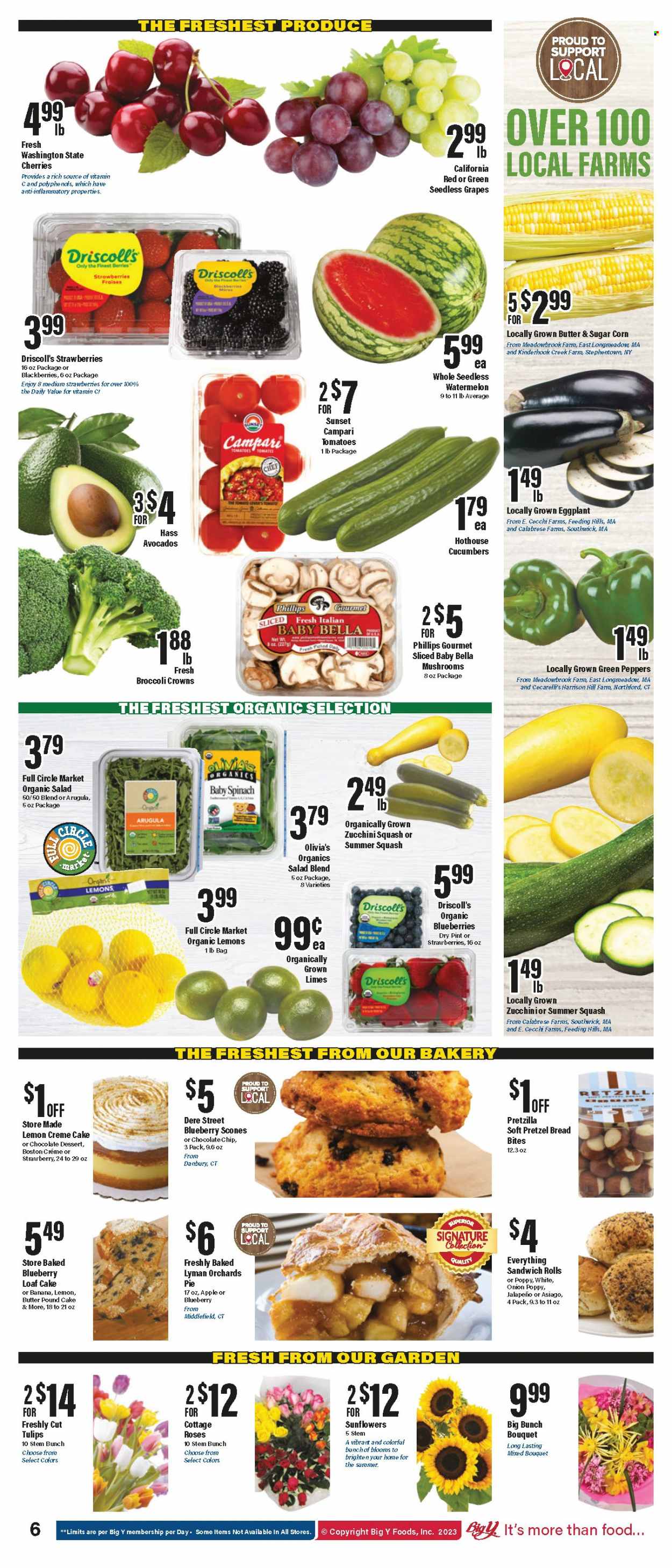 Big Y ad - 08/10/2023 - 08/16/2023. Page 7