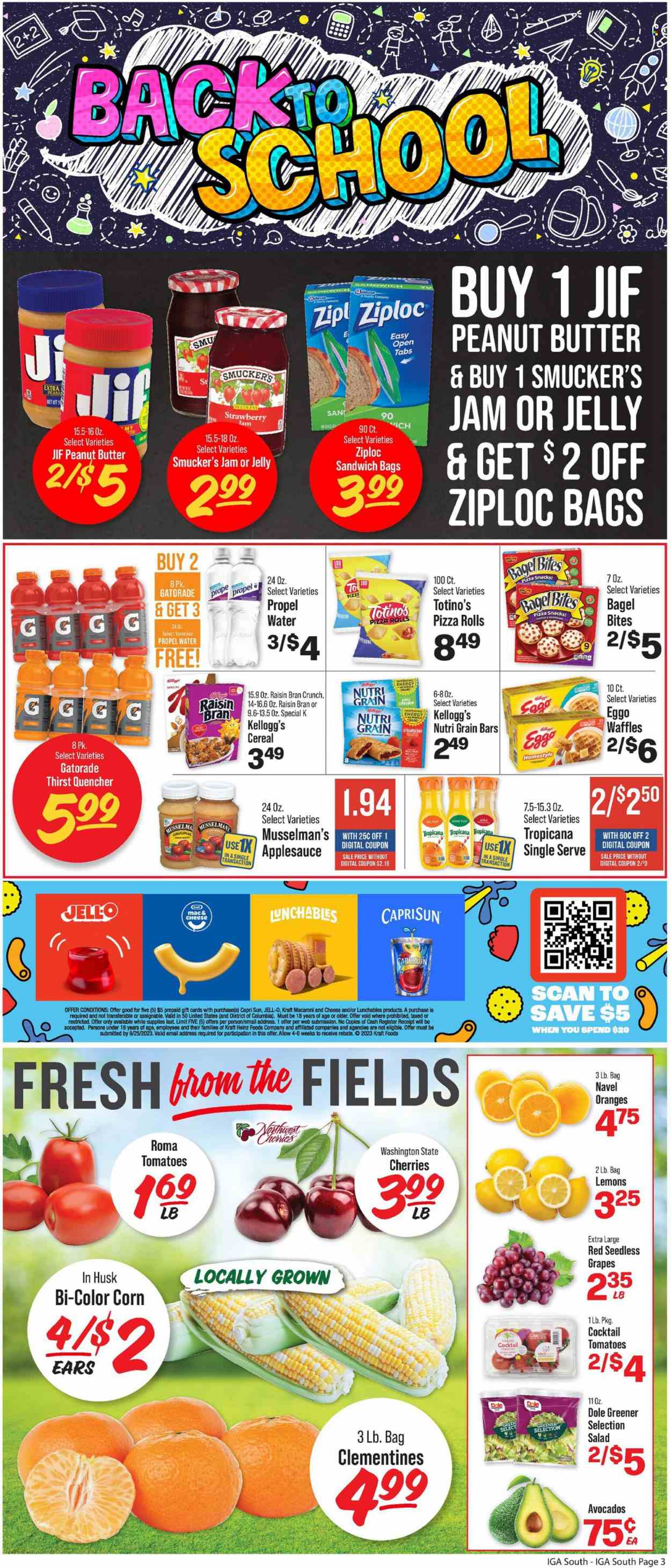 IGA ad - 08/09/2023 - 08/15/2023. Page 3