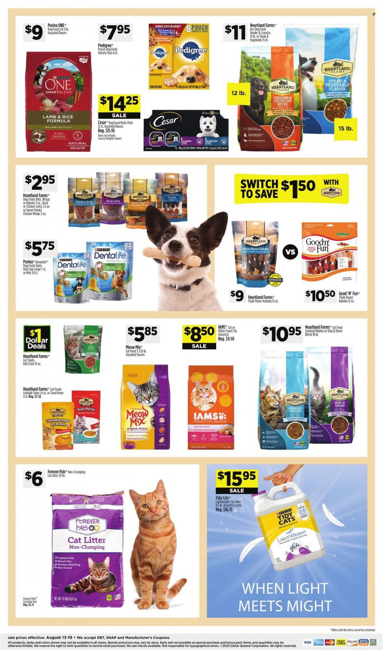 Dollar General ad - 08/13/2023 - 08/19/2023. Page 17