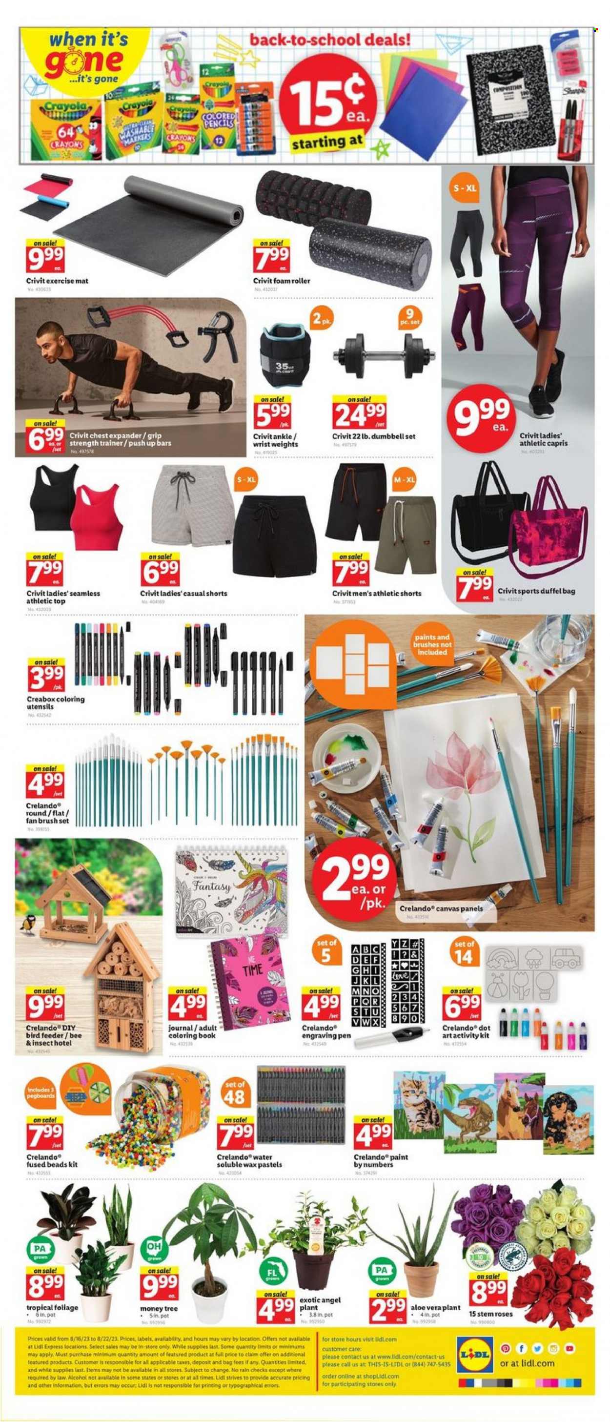 Lidl ad - 08/16/2023 - 08/22/2023. Page 4