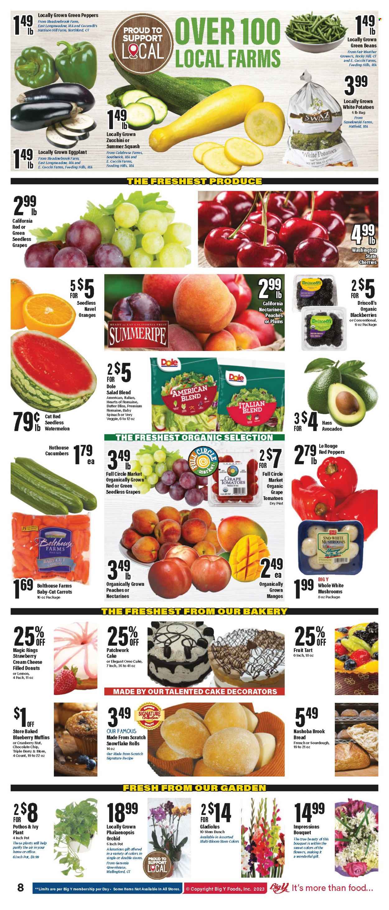 Big Y ad - 08/17/2023 - 08/23/2023. Page 9