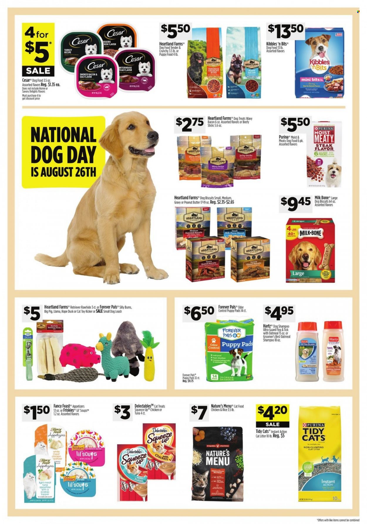 Dollar General ad. Page 13