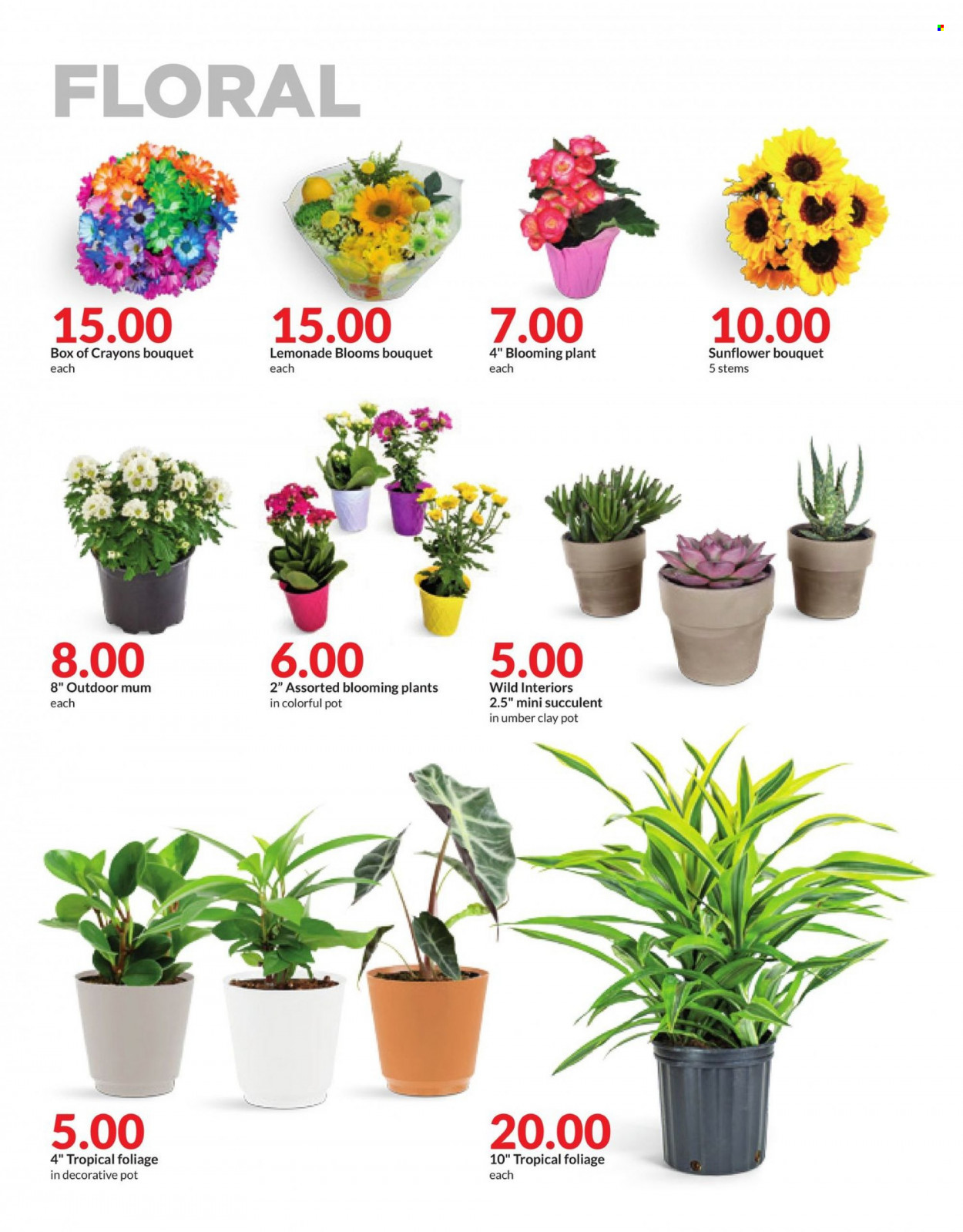 Hy-Vee ad - 08/21/2023 - 08/28/2023. Page 37