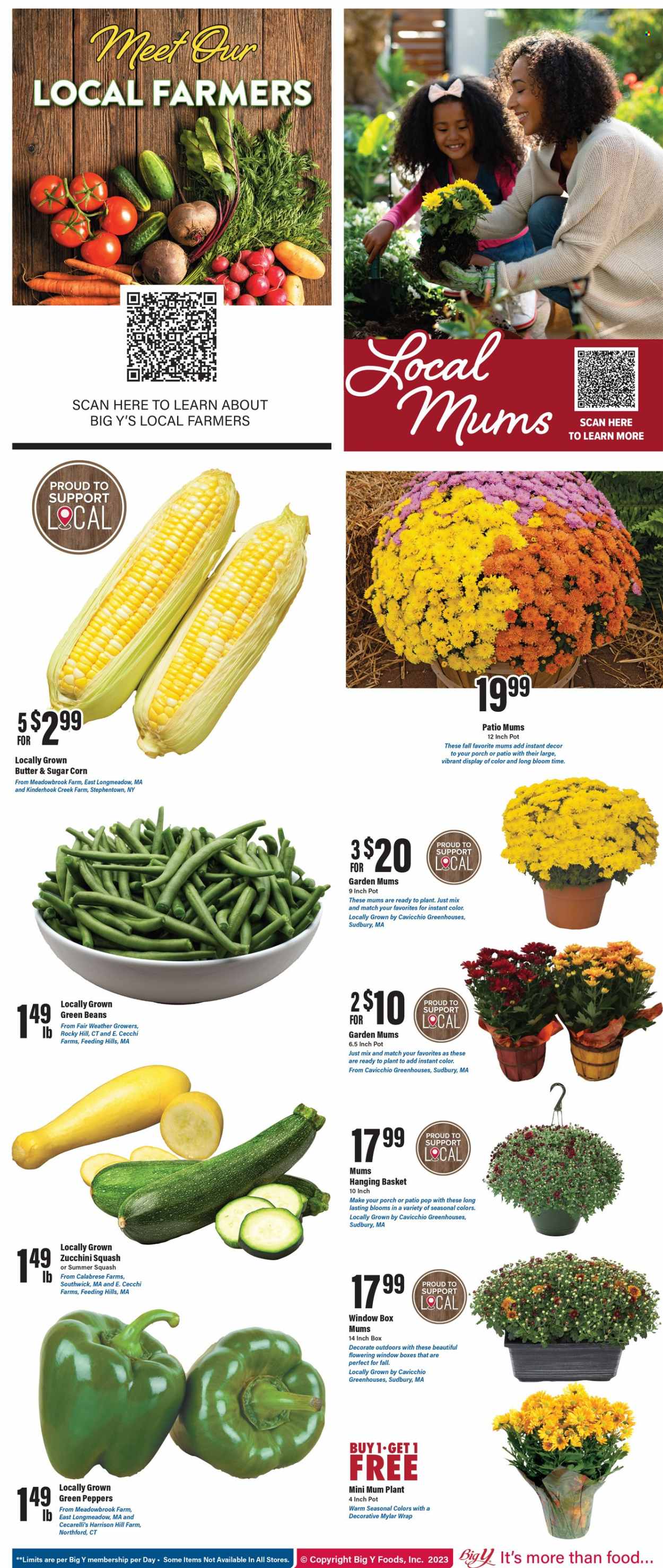 Big Y ad - 08/24/2023 - 08/30/2023. Page 2