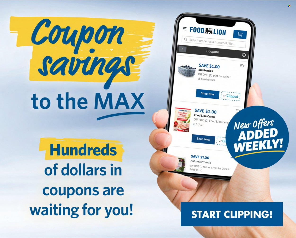Food Lion ad - 08/30/2023 - 09/05/2023. Page 4