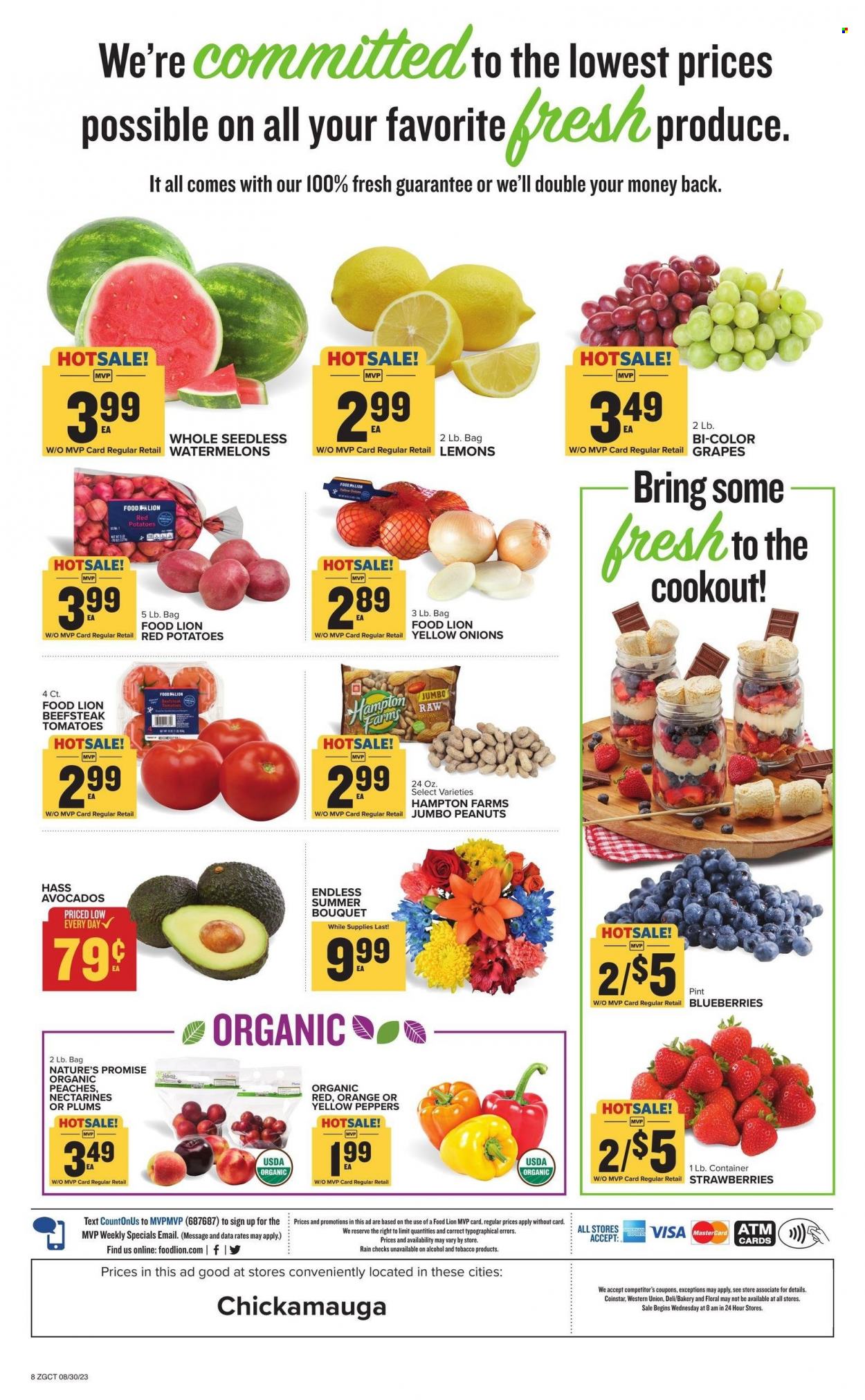 Food Lion ad - 08/30/2023 - 09/05/2023. Page 12