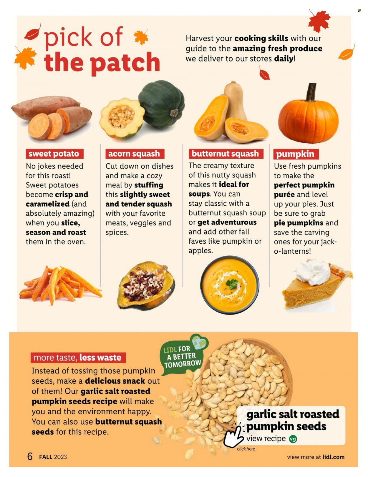 Lidl ad - 08/30/2023 - 10/31/2023. Page 6