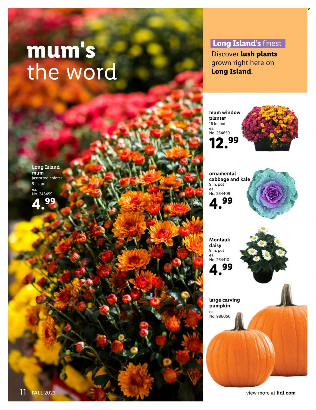 Lidl ad - 08/30/2023 - 10/31/2023. Page 11