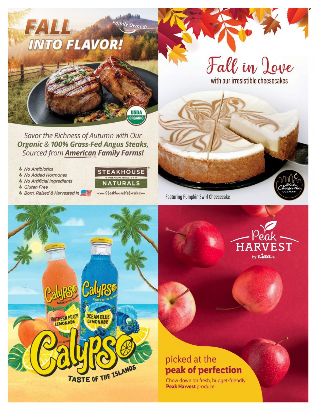 Lidl ad - 08/30/2023 - 10/31/2023. Page 23