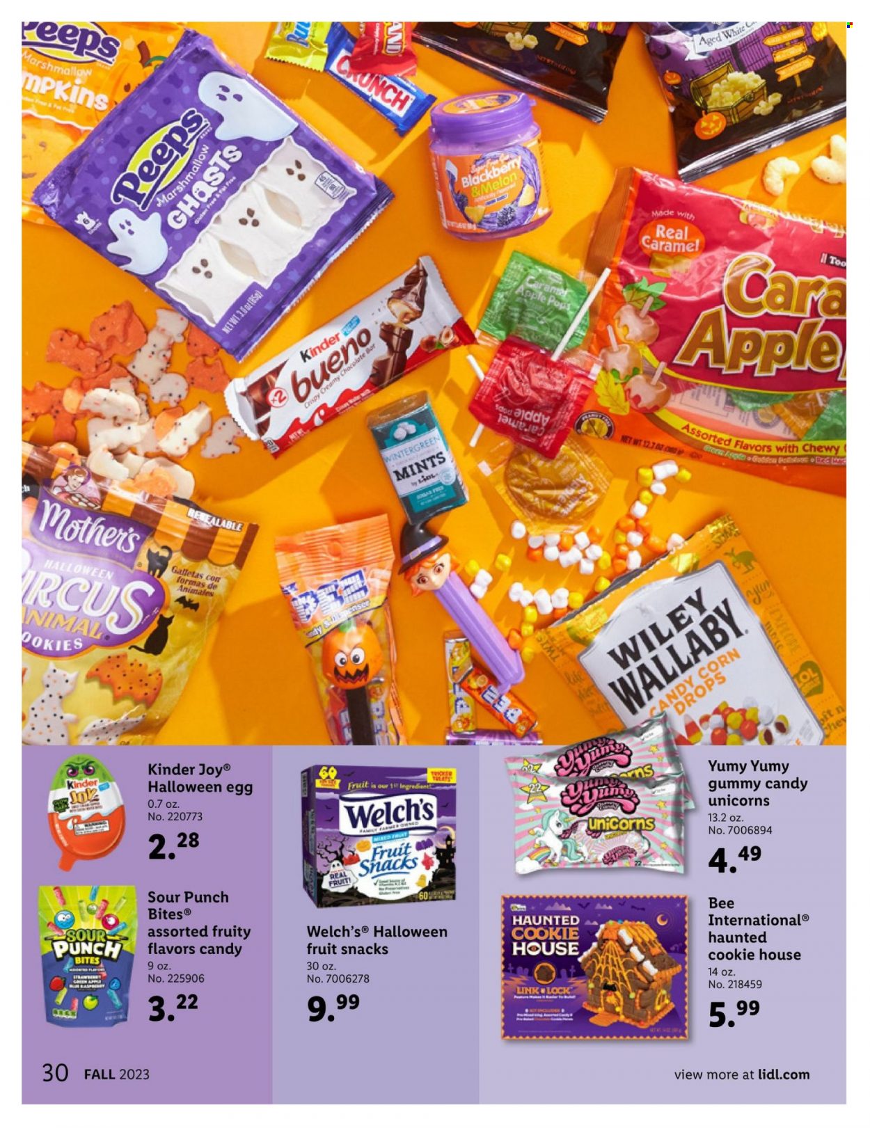 Lidl ad - 08/30/2023 - 10/31/2023. Page 30