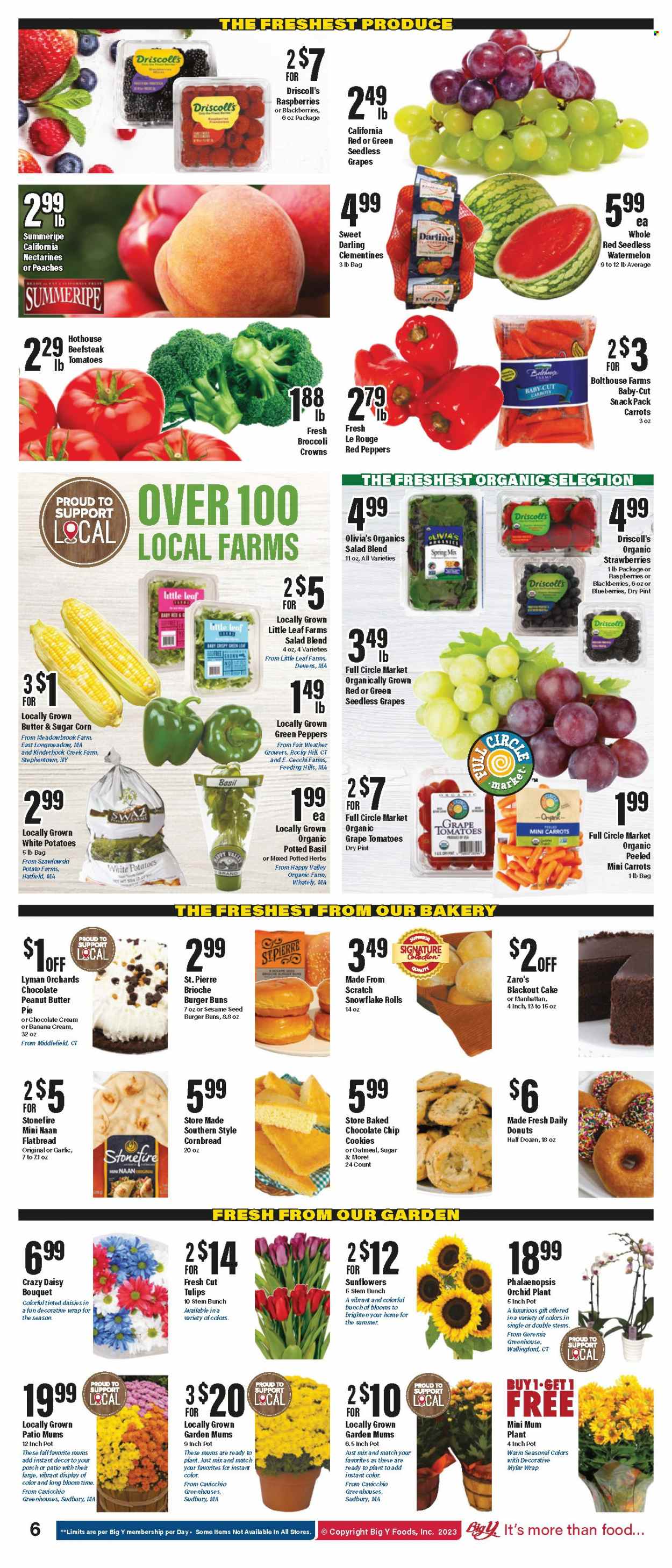 Big Y ad - 08/31/2023 - 09/06/2023. Page 7