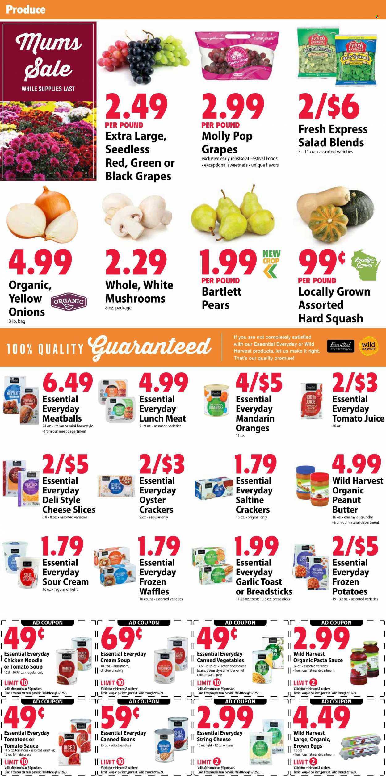 Festival Foods ad - 09/06/2023 - 09/12/2023. Page 6
