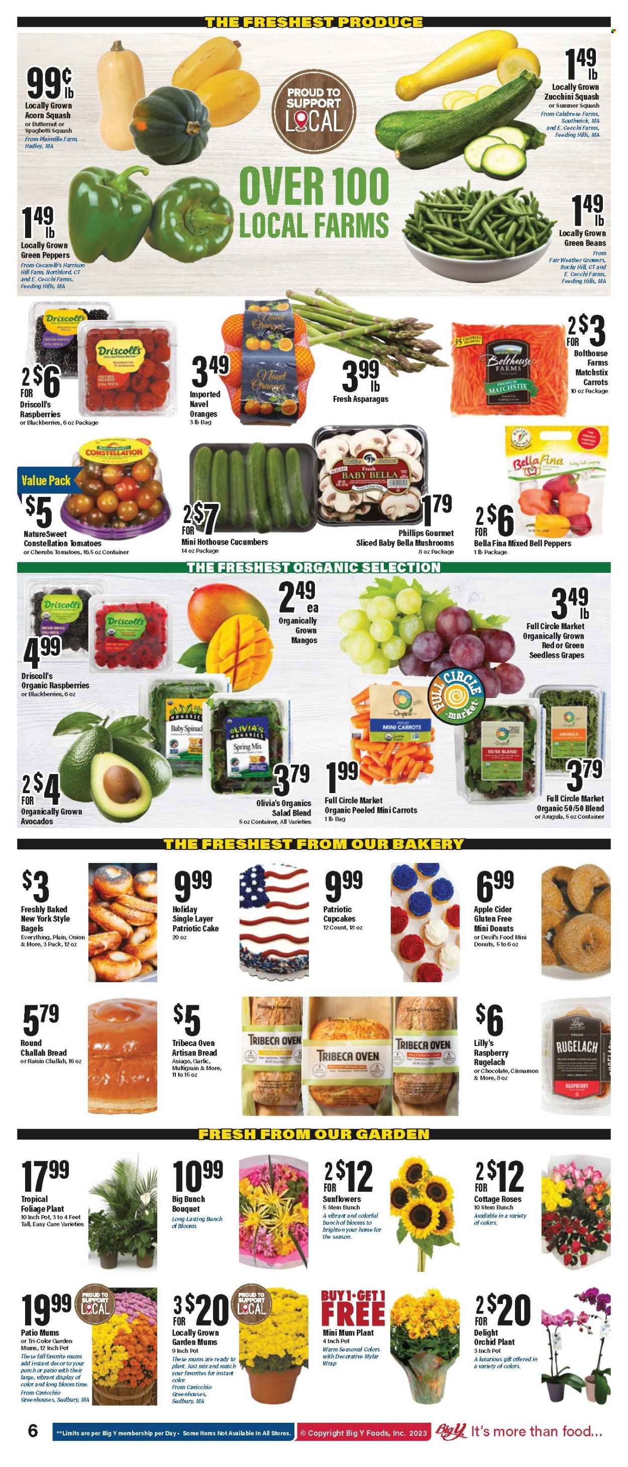 Big Y ad - 09/07/2023 - 09/13/2023. Page 15