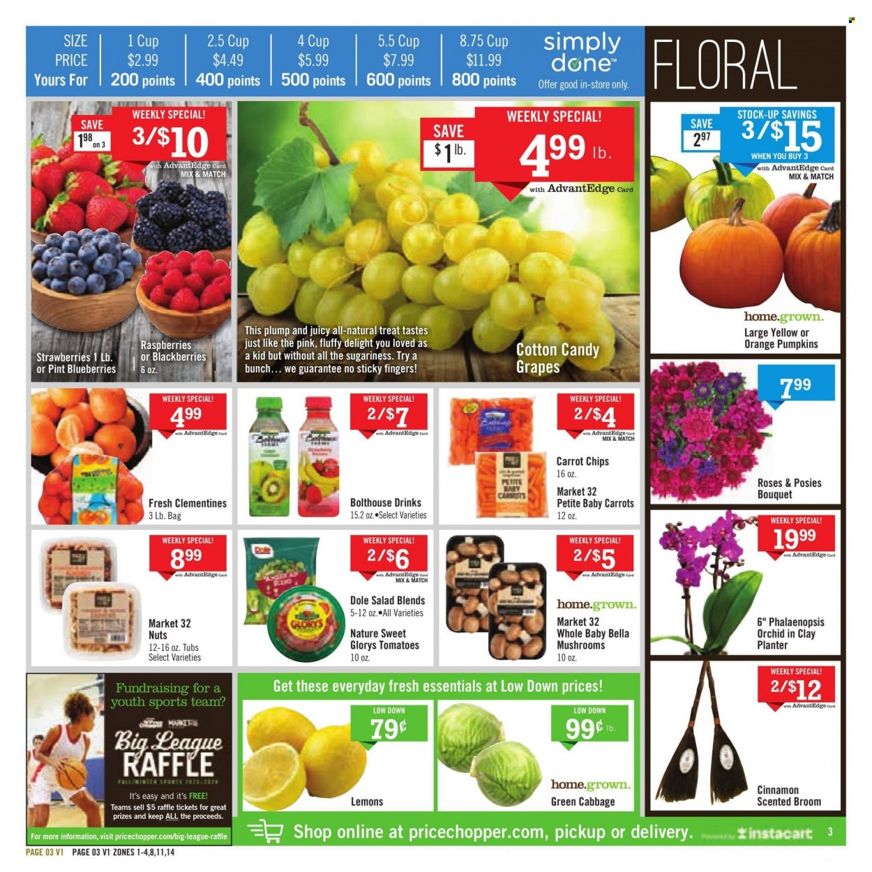 Price Chopper ad - 09/10/2023 - 09/16/2023. Page 3