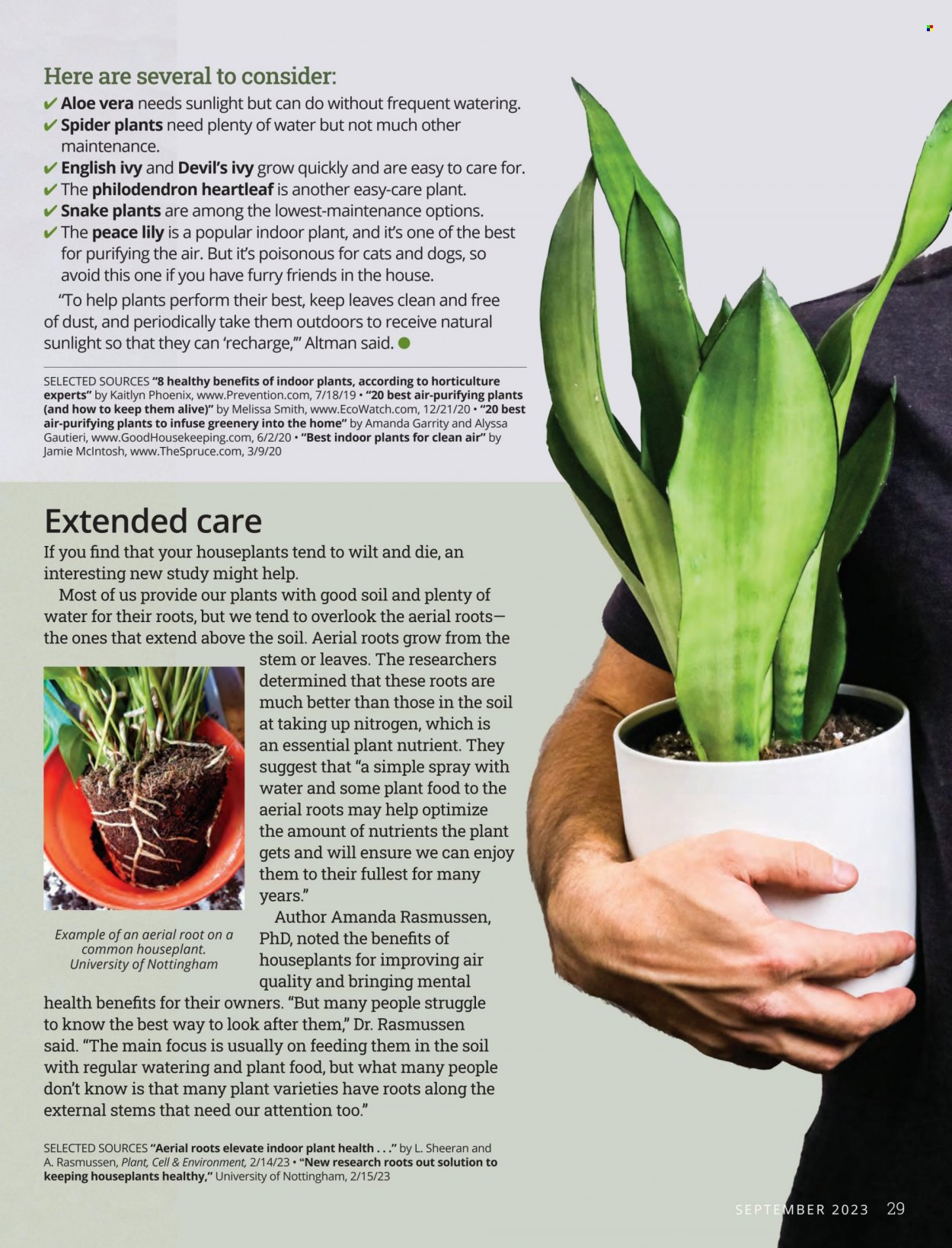 Festival Foods ad - 09/01/2023 - 09/30/2023. Page 29