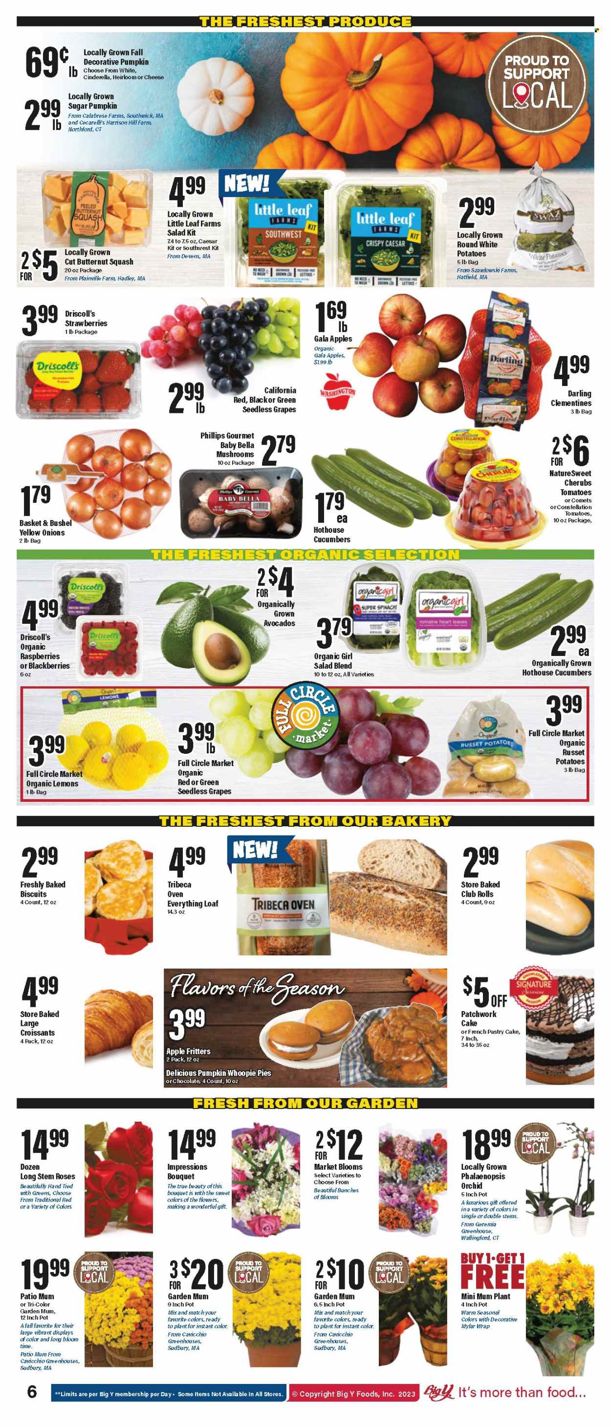 Big Y ad - 09/28/2023 - 10/04/2023. Page 7