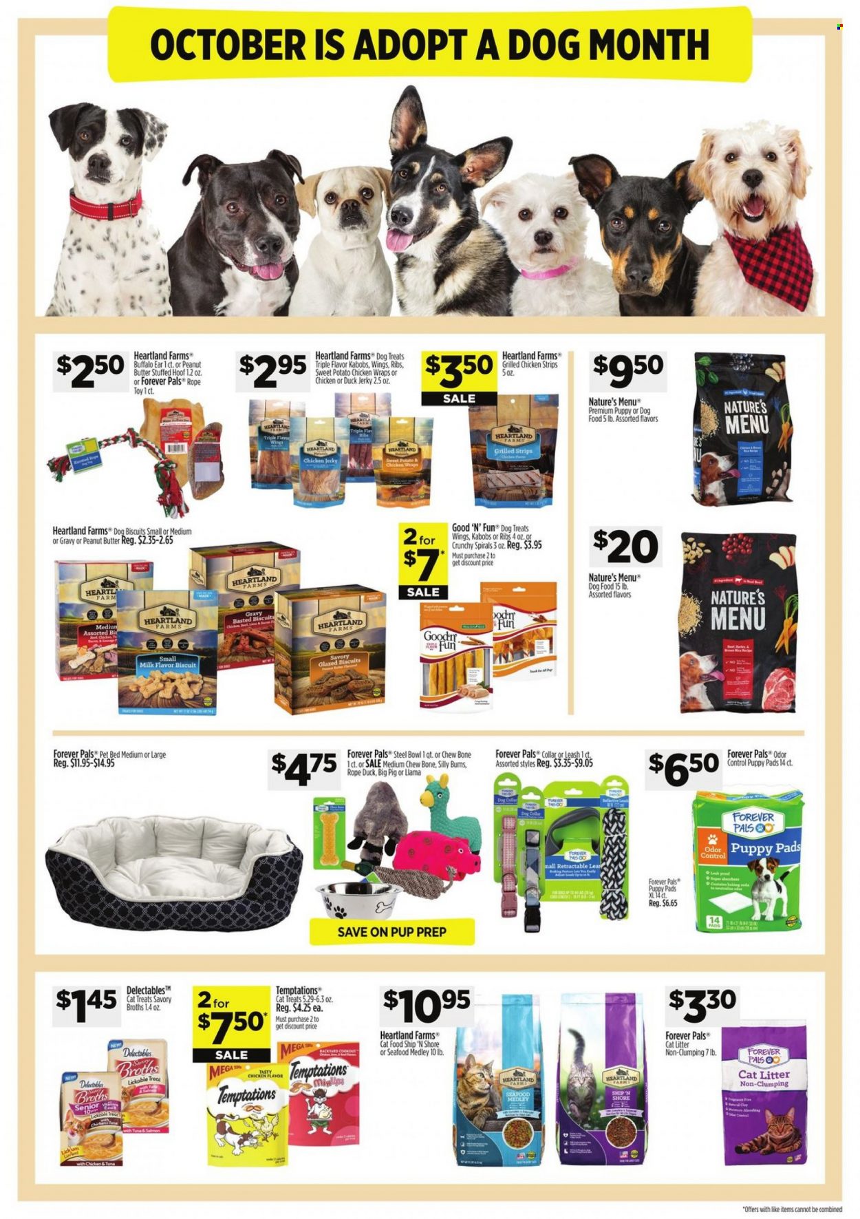 Dollar General ad - 10/08/2023 - 10/14/2023. Page 9