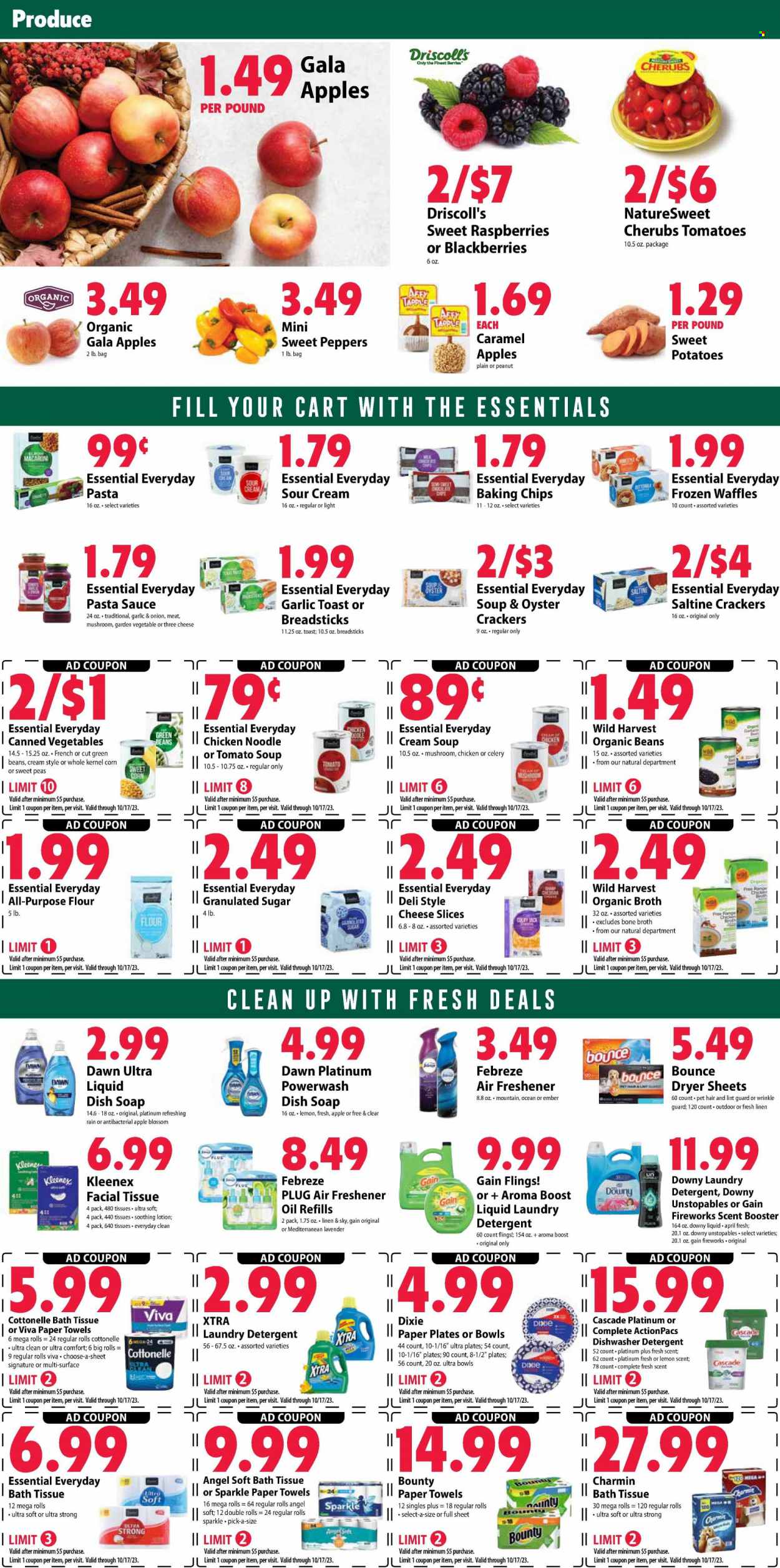Festival Foods ad - 10/11/2023 - 10/17/2023. Page 4