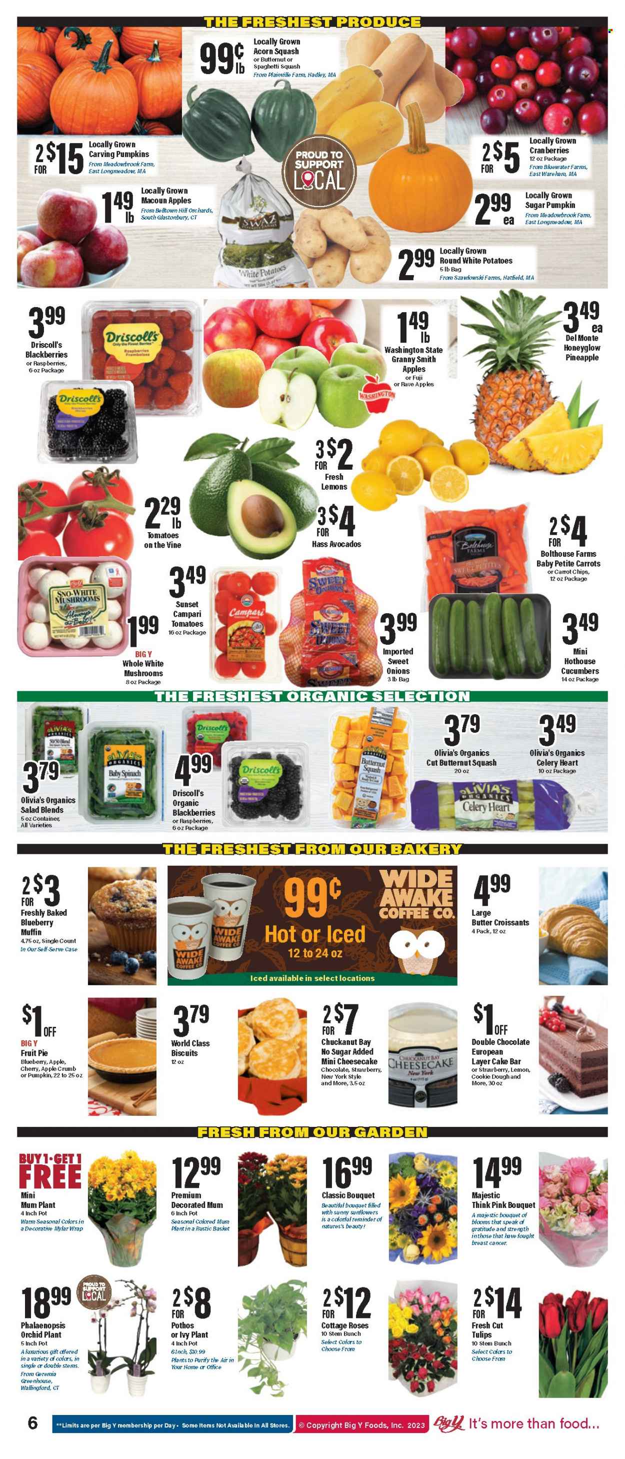 Big Y ad - 10/19/2023 - 10/25/2023. Page 7