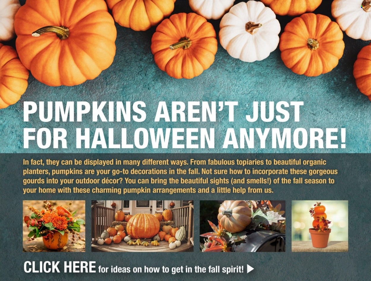 Menards ad - 10/19/2023 - 10/29/2023. Page 23