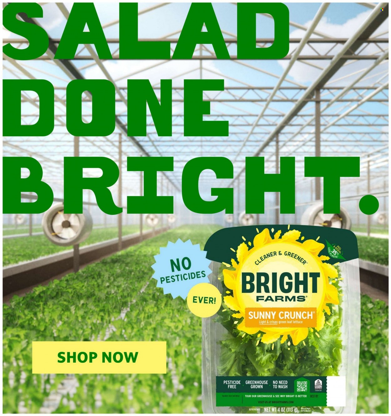 Hannaford ad - 10/22/2023 - 10/28/2023. Page 13