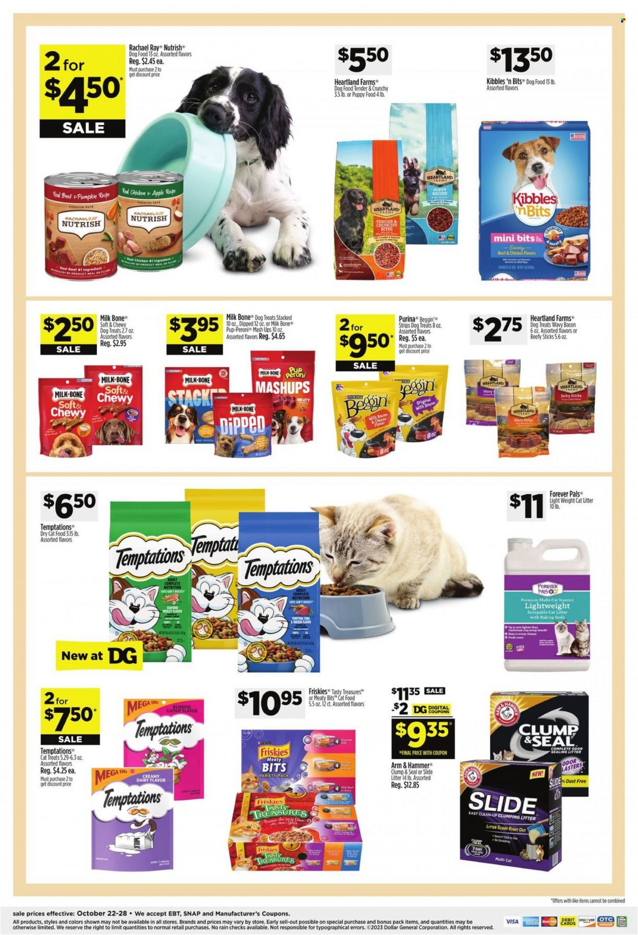 Dollar General ad - 10/22/2023 - 10/28/2023. Page 13