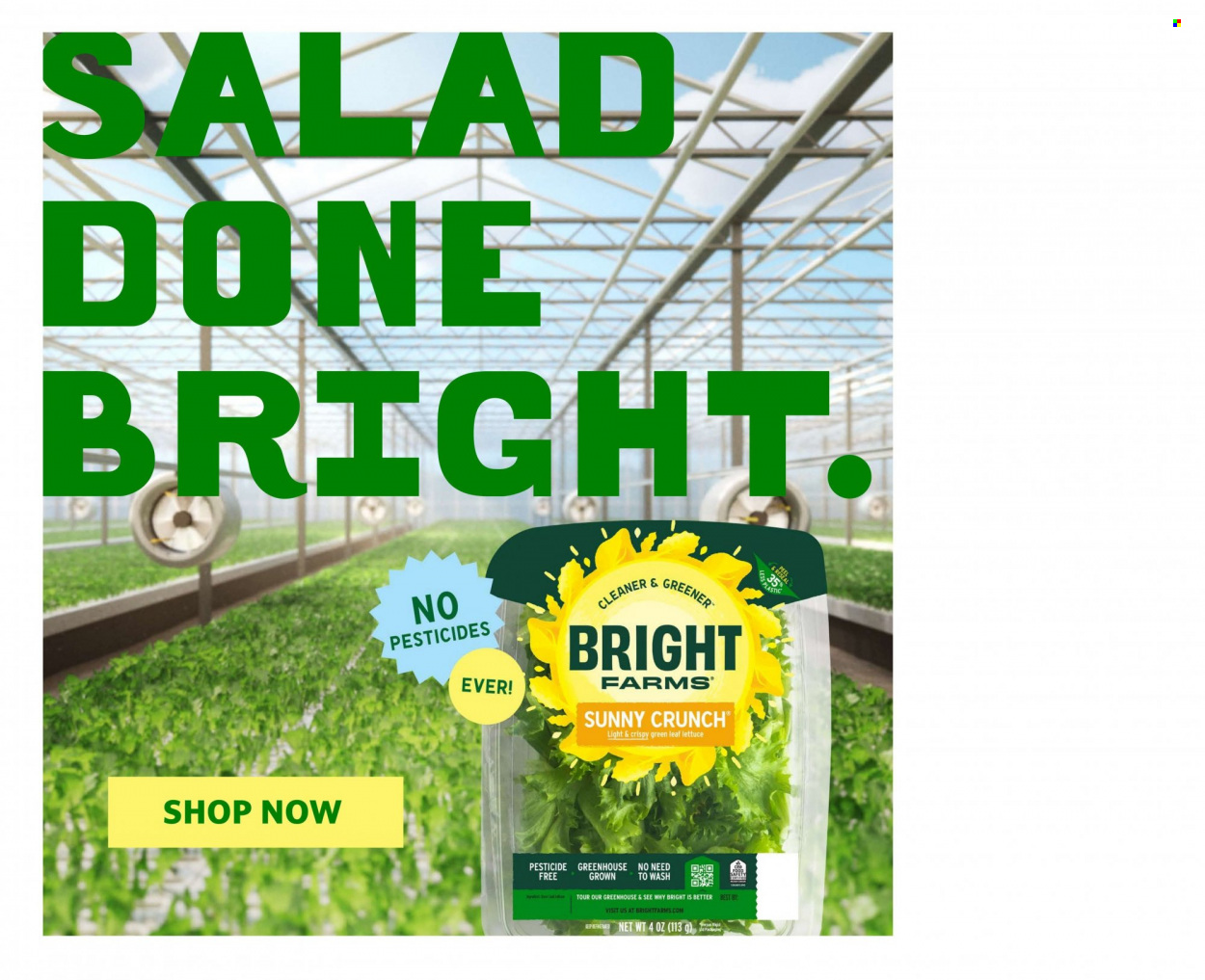 Hannaford ad - 10/29/2023 - 11/04/2023. Page 8