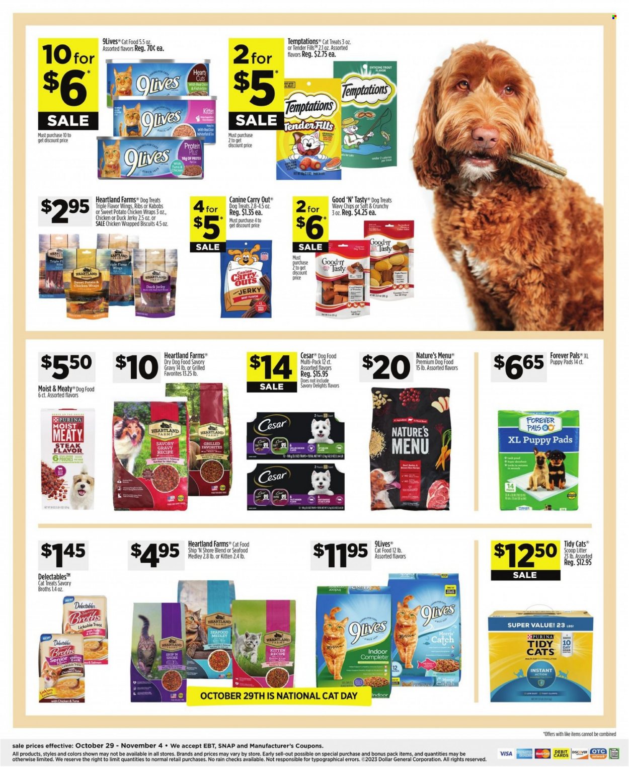 Dollar General ad - 10/29/2023 - 11/04/2023. Page 16