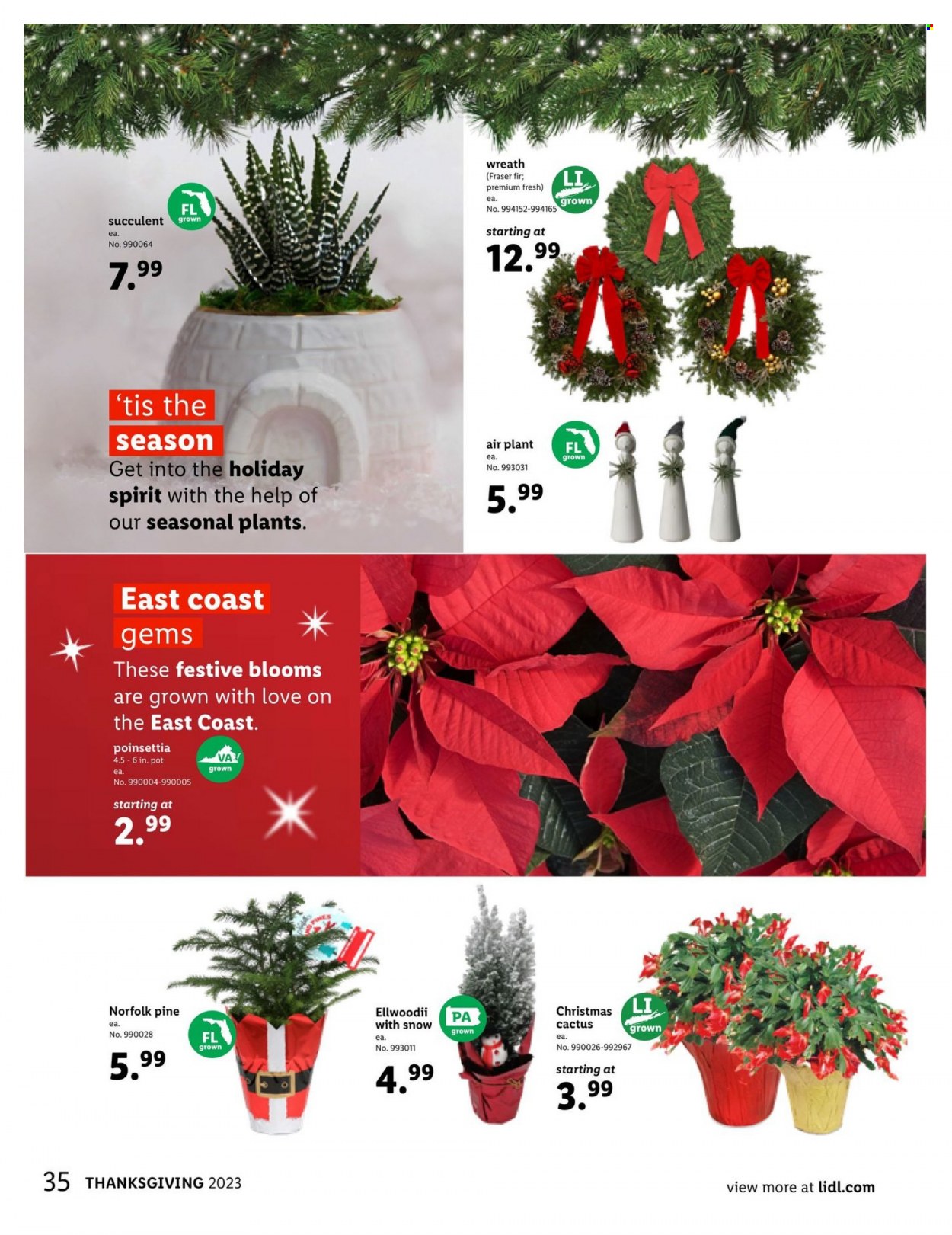 Lidl ad - 11/01/2023 - 11/28/2023. Page 35