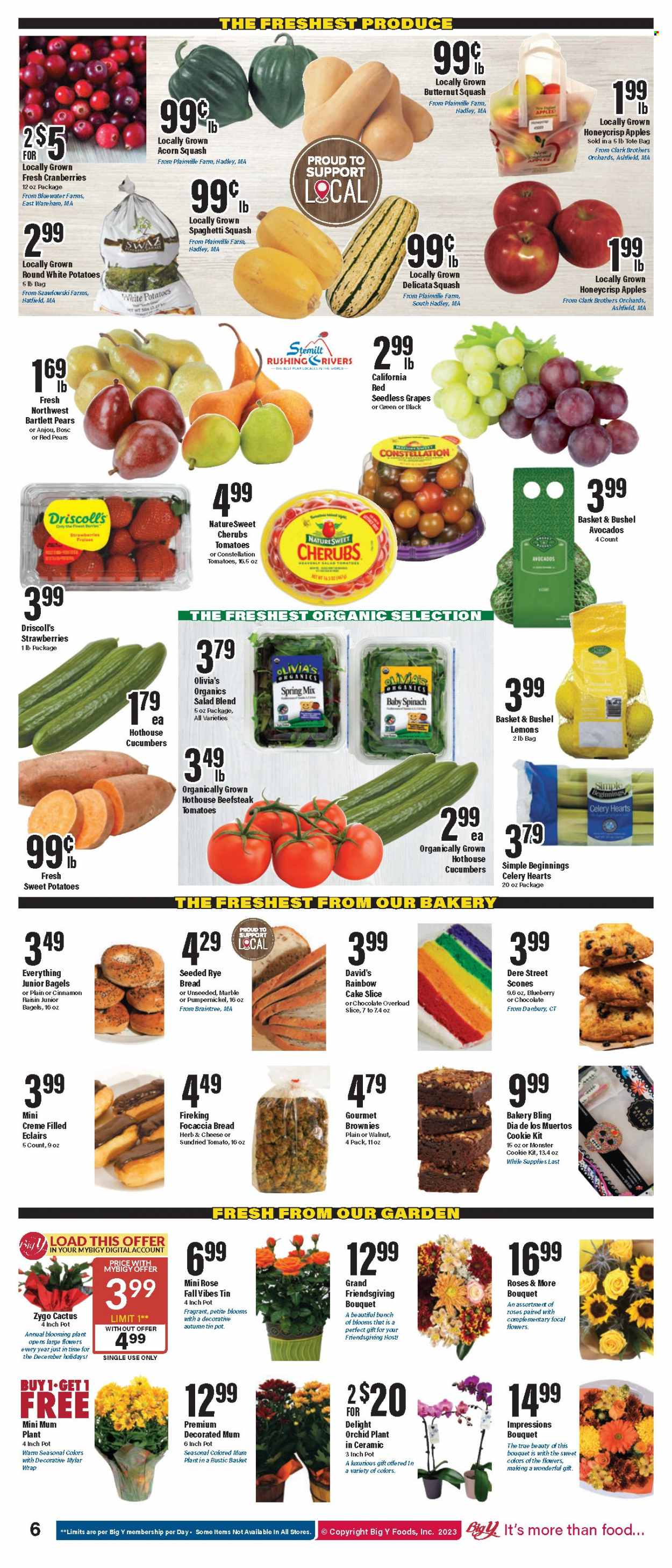 Big Y ad - 11/02/2023 - 11/08/2023. Page 7