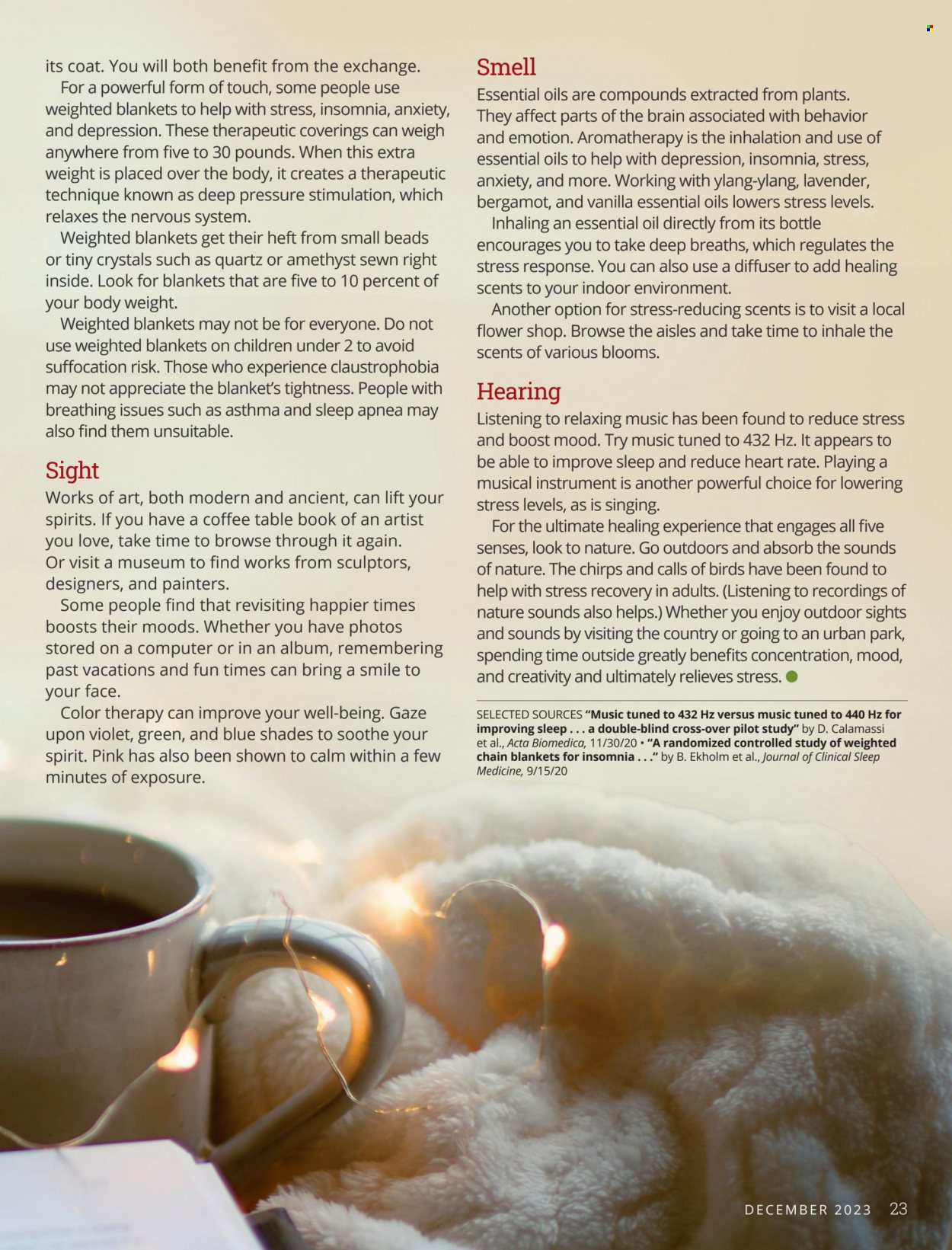 Festival Foods ad. Page 23
