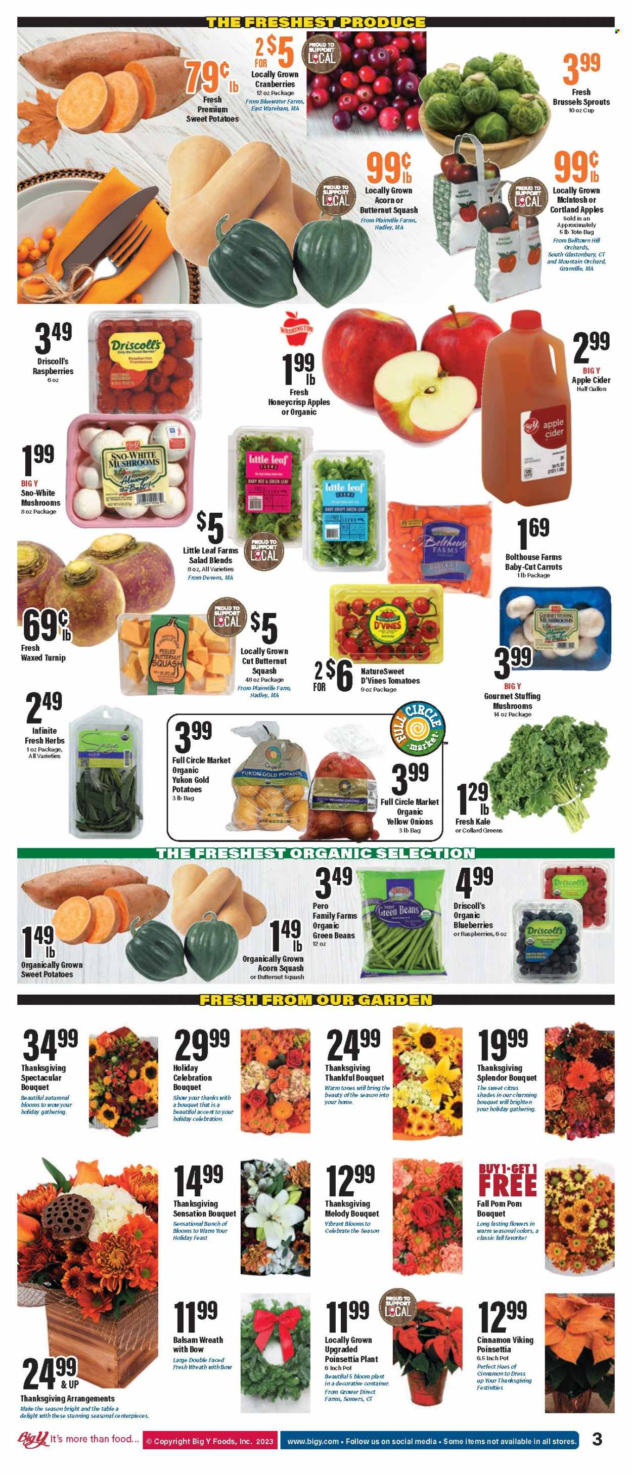 Big Y ad - 11/16/2023 - 11/22/2023. Page 7