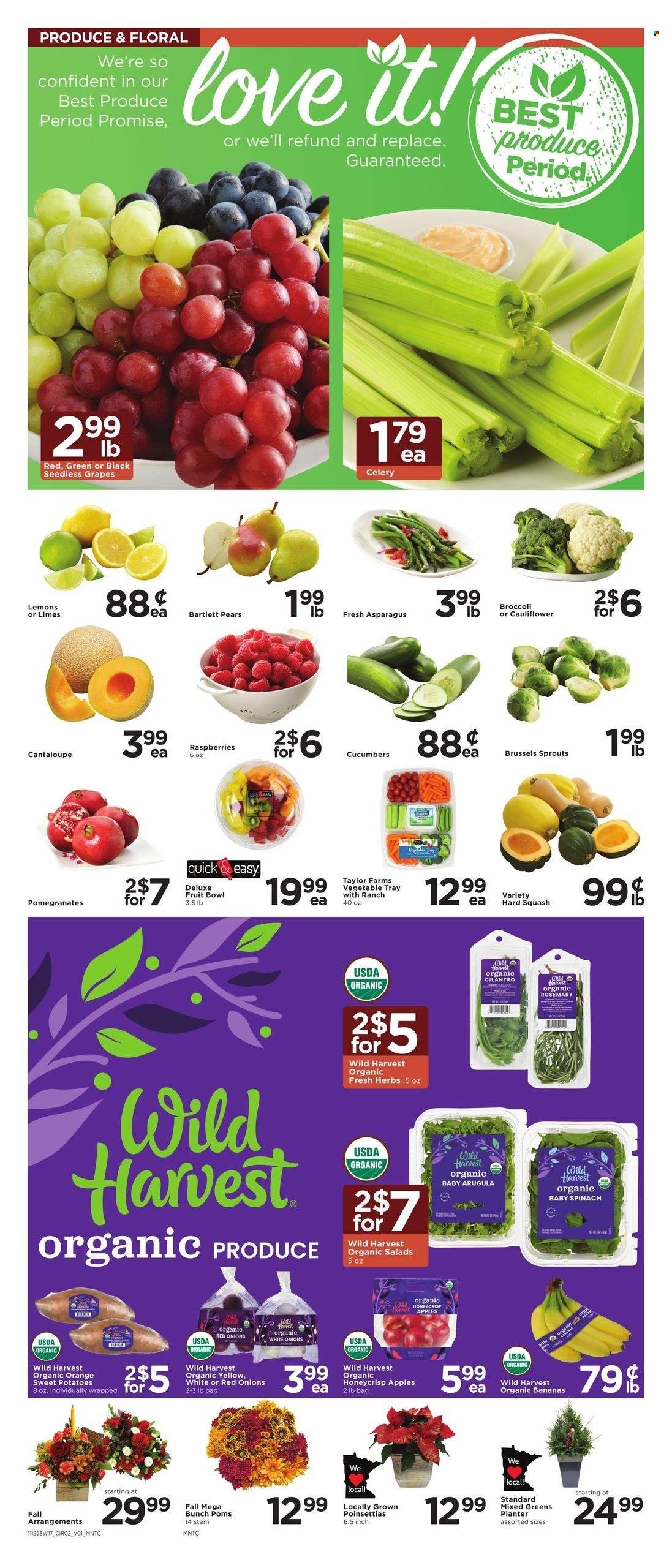 Cub Foods ad - 11/19/2023 - 11/25/2023. Page 2
