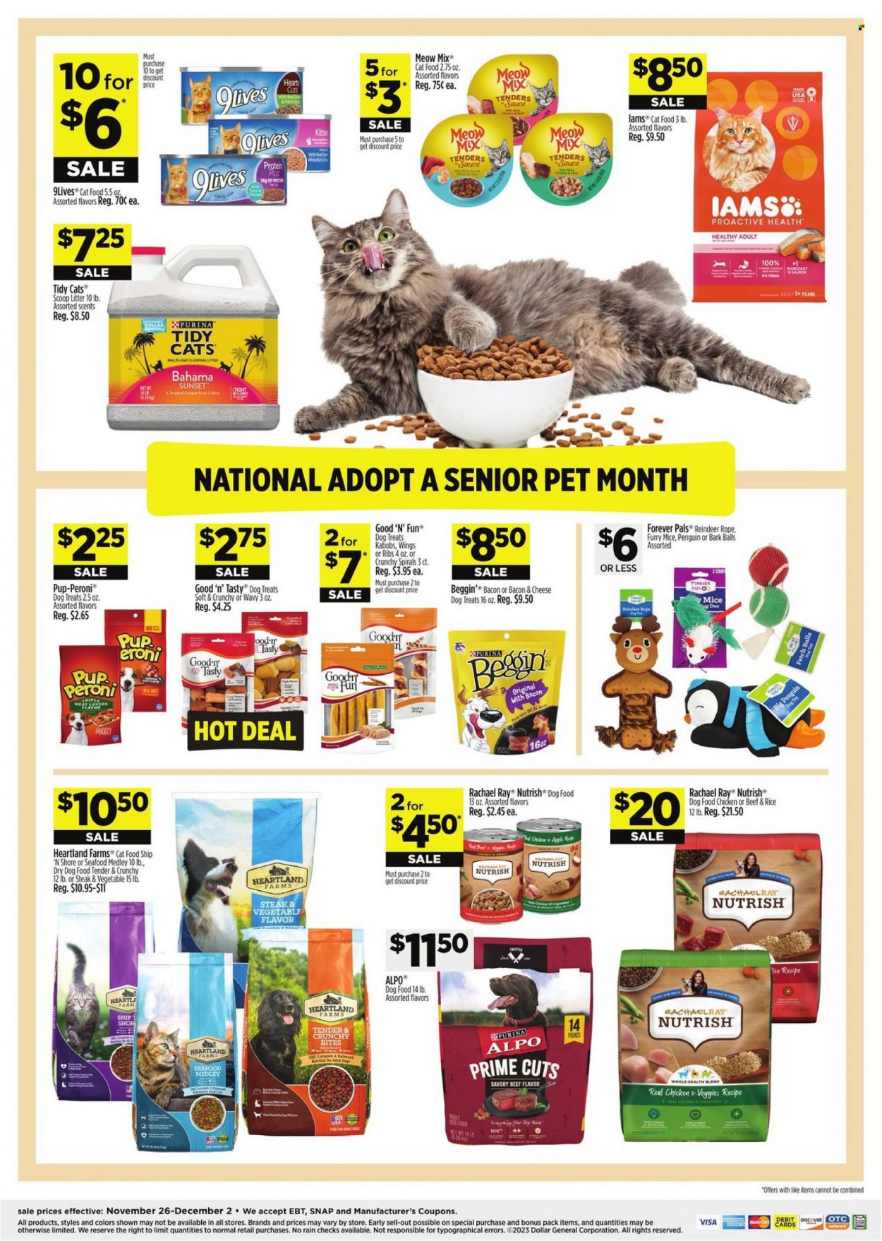 Dollar General ad - 11/26/2023 - 12/02/2023. Page 12