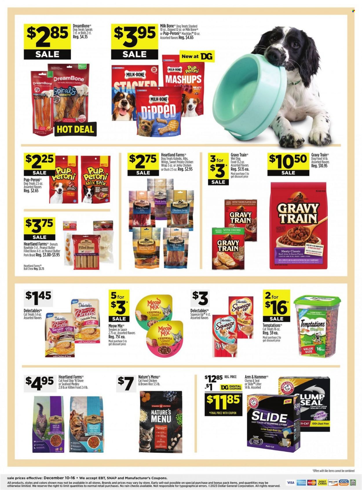 Dollar General ad - 12/10/2023 - 12/16/2023. Page 12