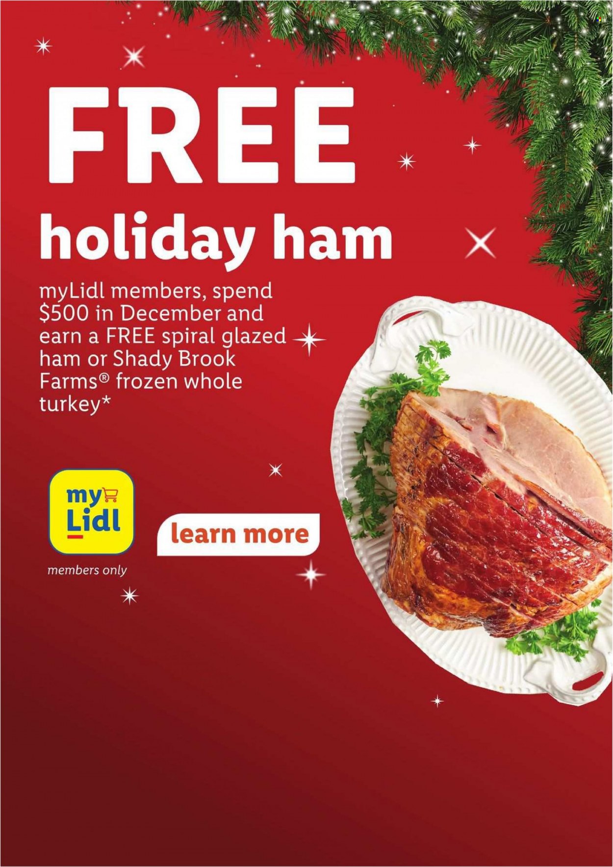 Lidl ad - 12/20/2023 - 12/26/2023. Page 6