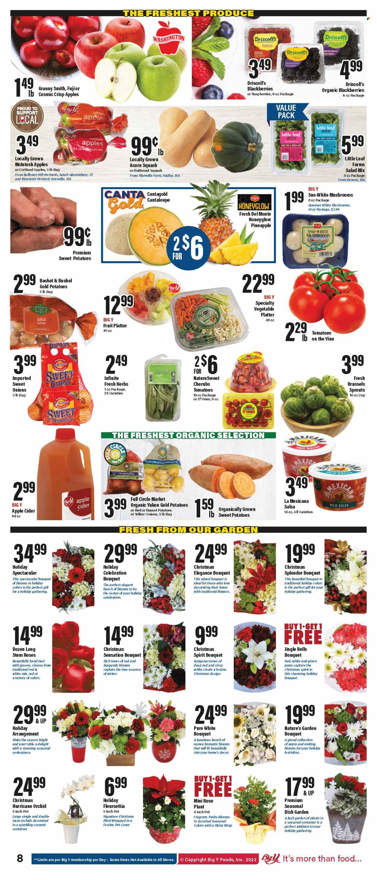 Big Y ad - 12/14/2023 - 12/27/2023. Page 9