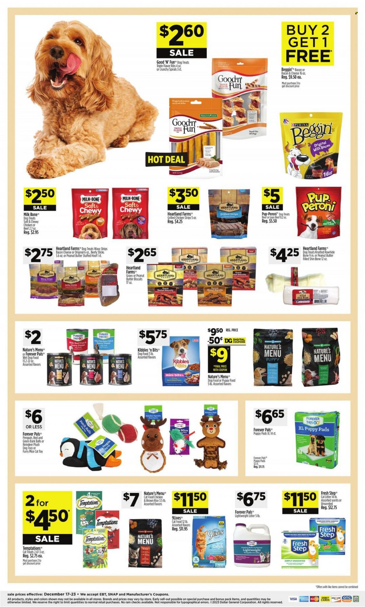 Dollar General ad - 12/17/2023 - 12/23/2023. Page 9