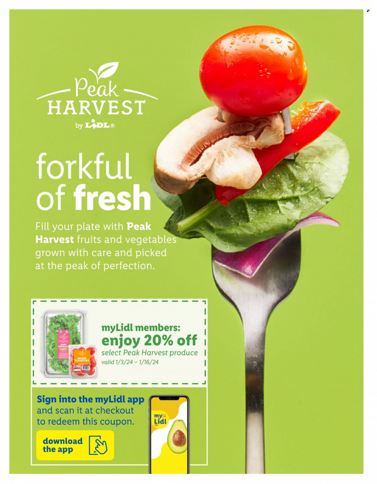 Lidl ad - 12/27/2023 - 01/23/2024. Page 11