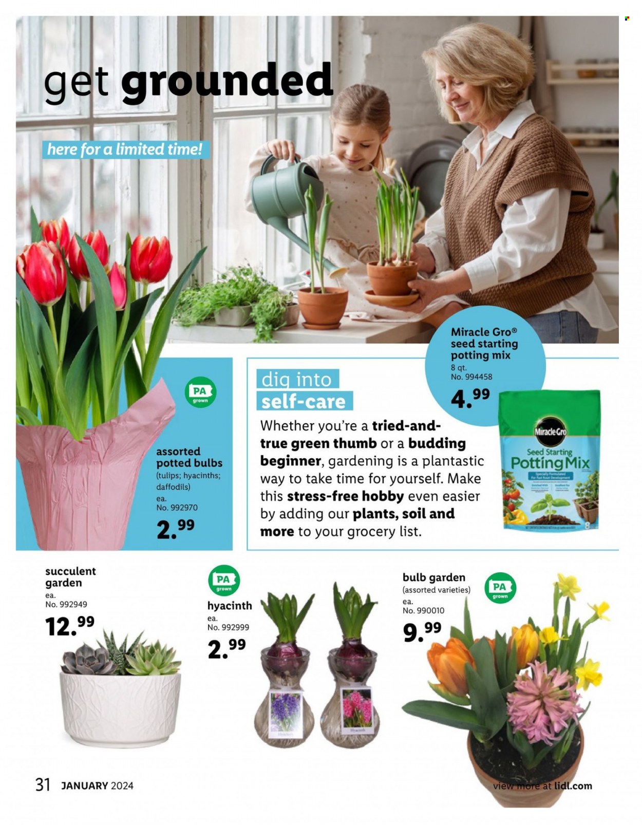 Lidl ad - 12/27/2023 - 01/23/2024. Page 31