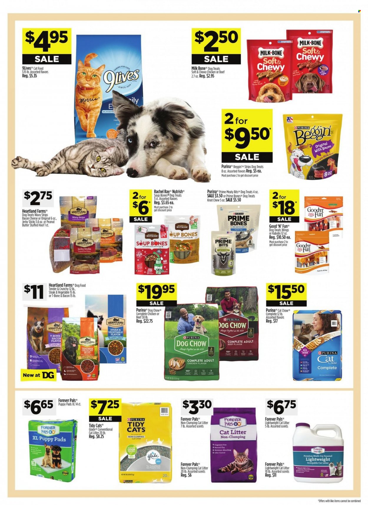 Dollar General ad - 12/31/2023 - 01/06/2024. Page 8