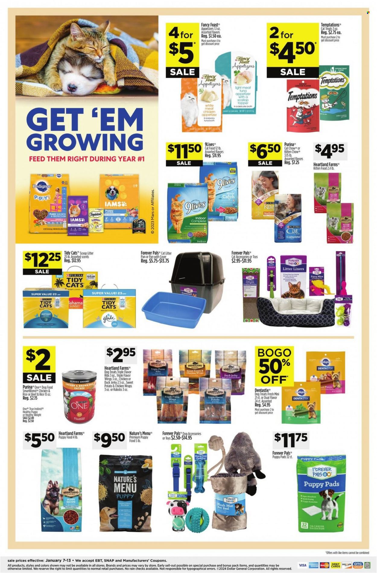 Dollar General ad - 01/07/2024 - 01/13/2024. Page 5