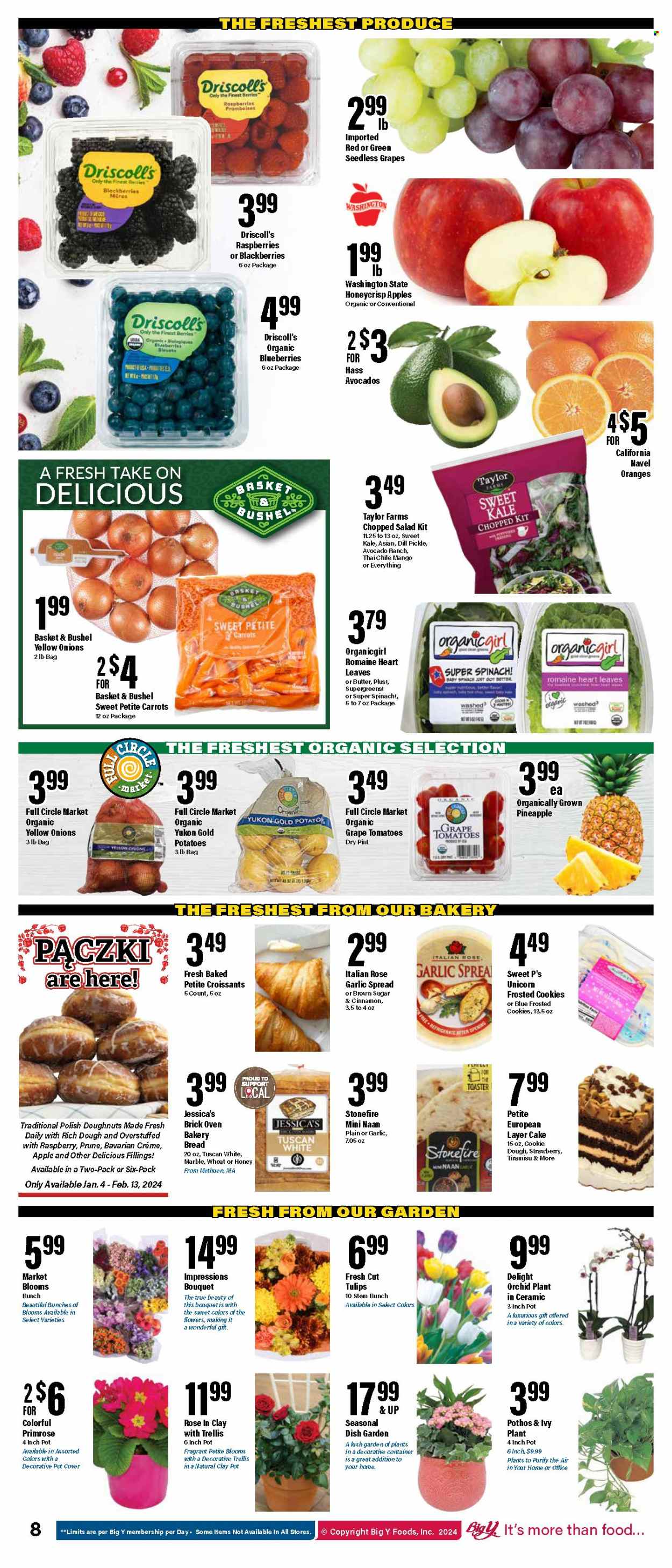 Big Y ad - 01/11/2024 - 01/17/2024. Page 10